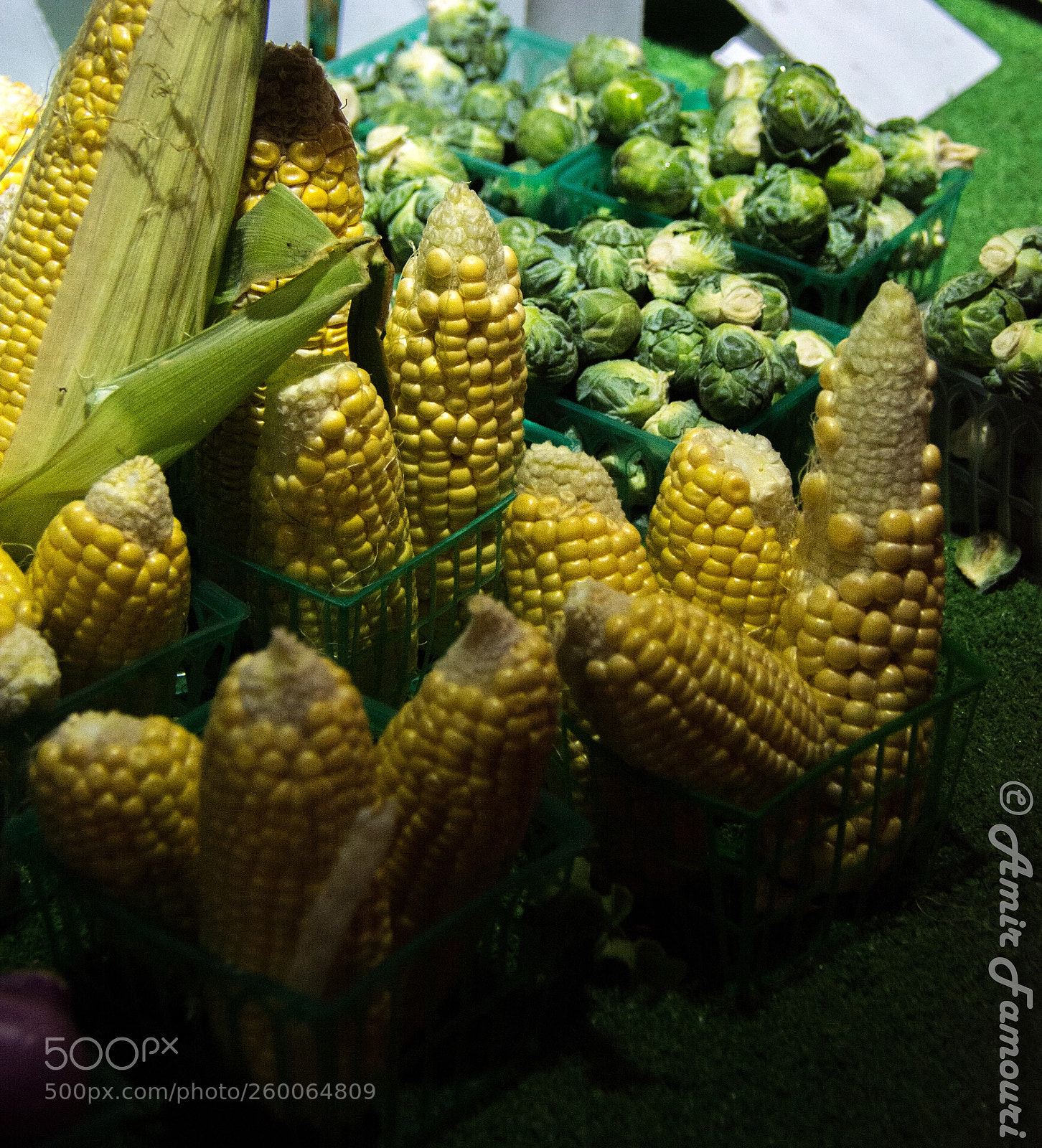 Nikon D5200 sample photo. Food photography