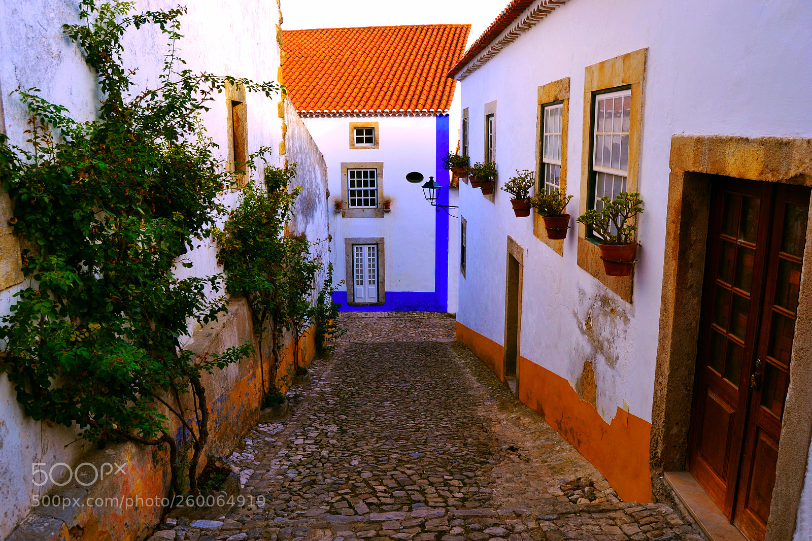Nikon D3100 sample photo. Obidos photography