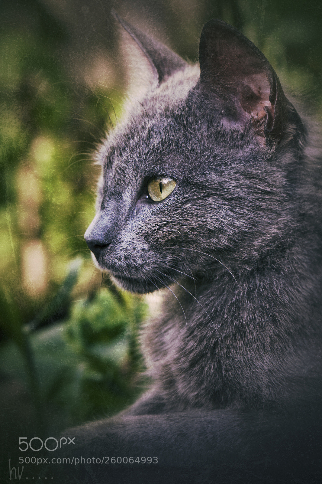 Nikon D7100 sample photo. Grungy mood photography