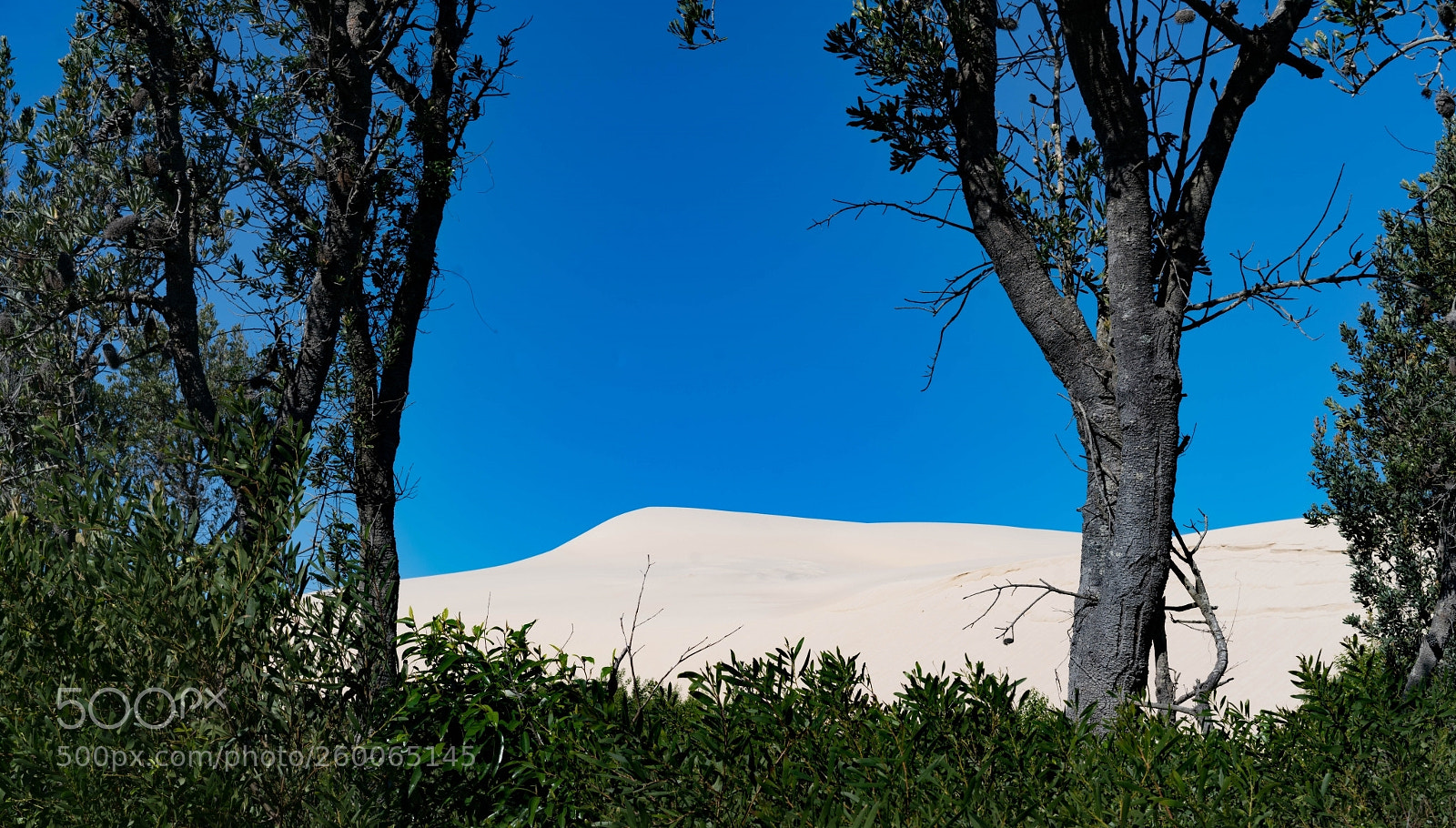 Sony a7R II sample photo. Dunes. photography