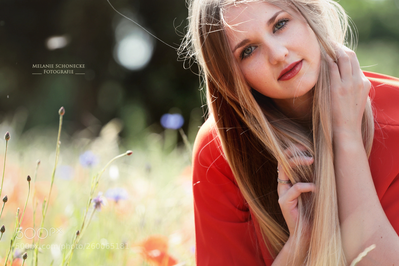Canon EOS 80D sample photo. Summertime photography