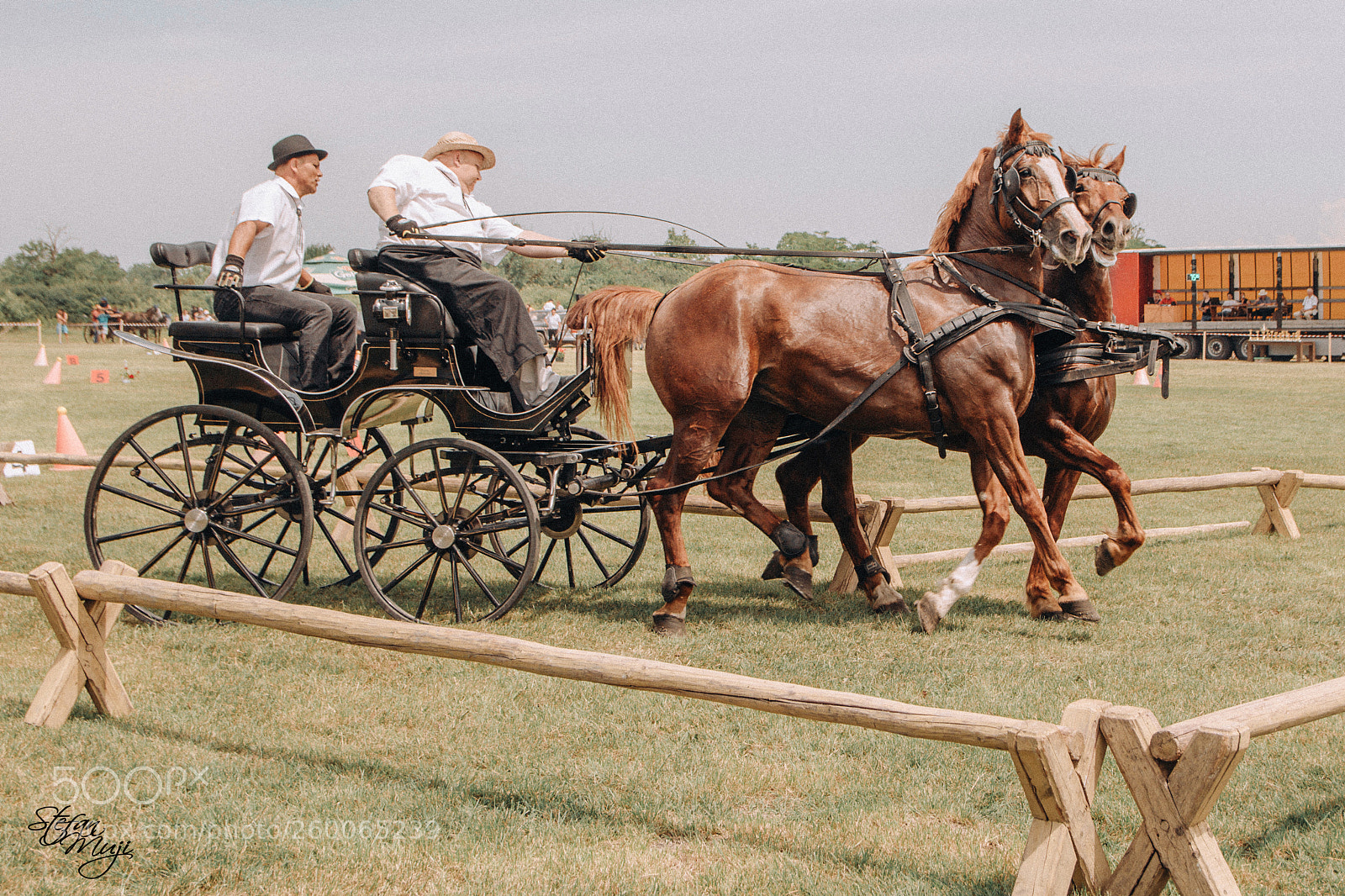 Canon EOS 60D sample photo. Horses challenge photography