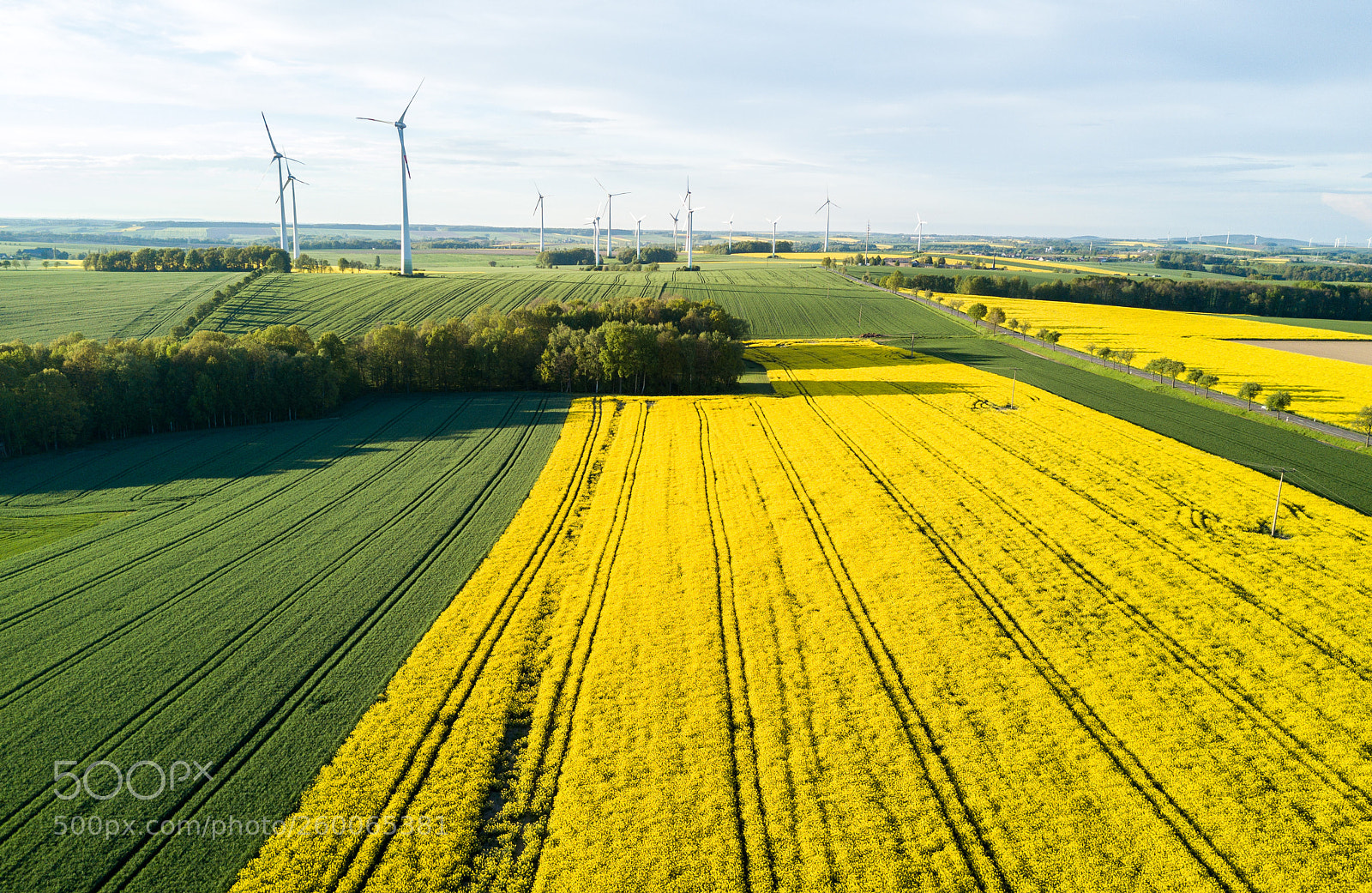 DJI FC220 sample photo. Yellow fields photography