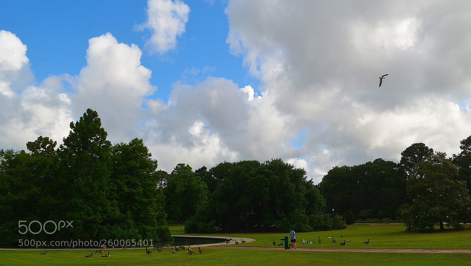 Nikon D5100 sample photo. An afternoon at the photography
