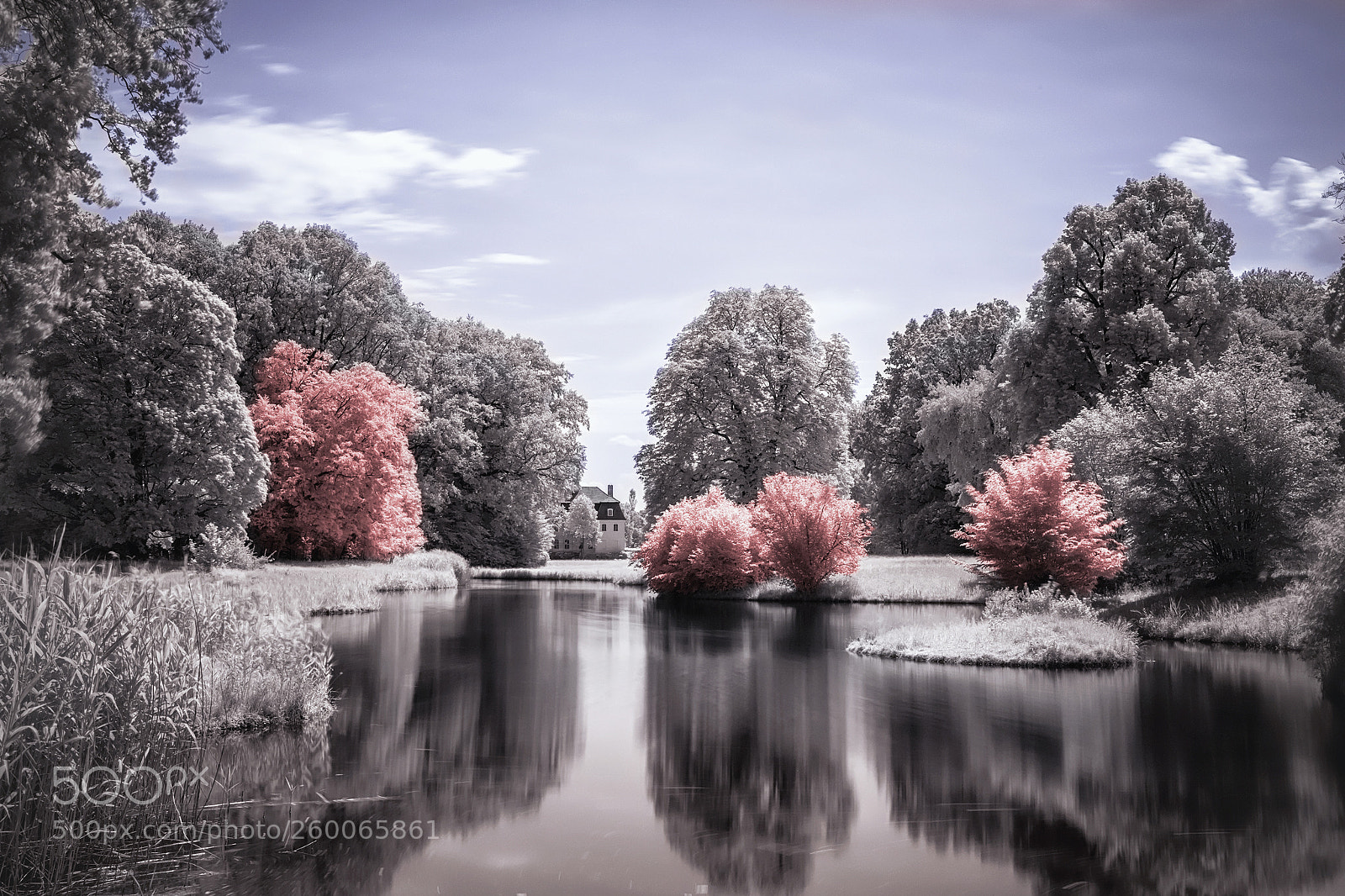 Canon EOS 6D Mark II sample photo. Branitzer park in infrared photography