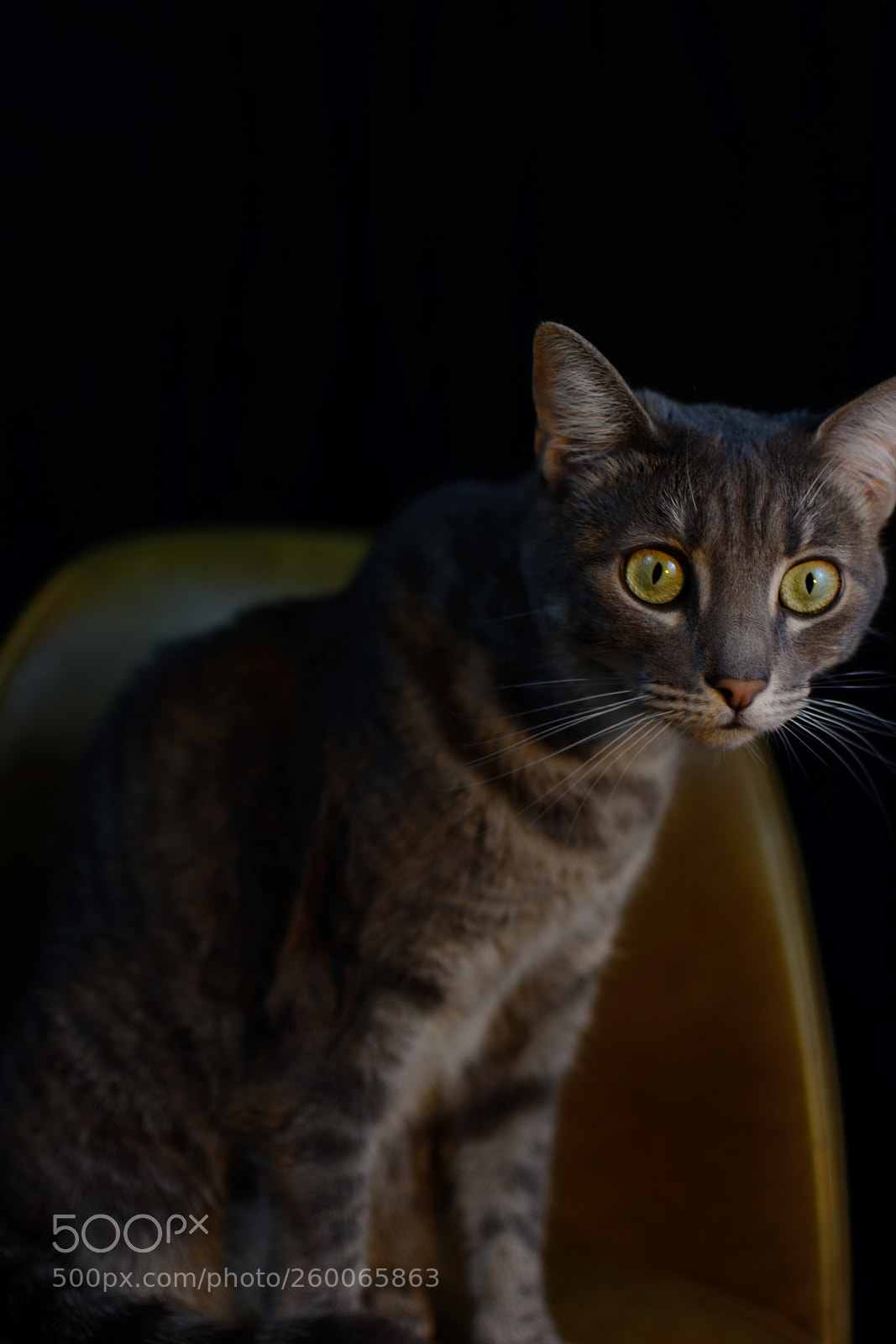 Nikon D5200 sample photo. What is she thinking photography