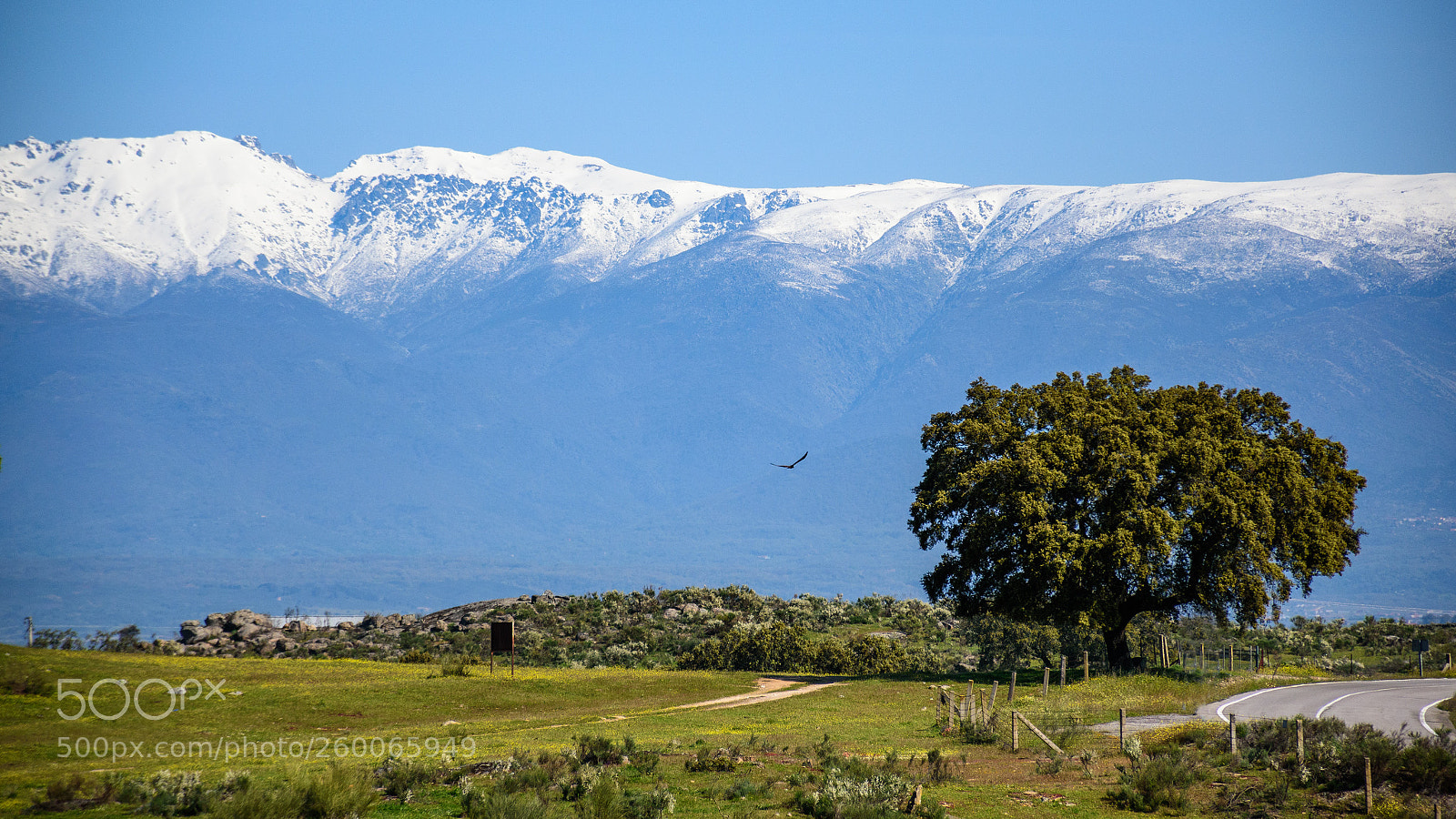 Nikon D5600 sample photo. A quick look at photography