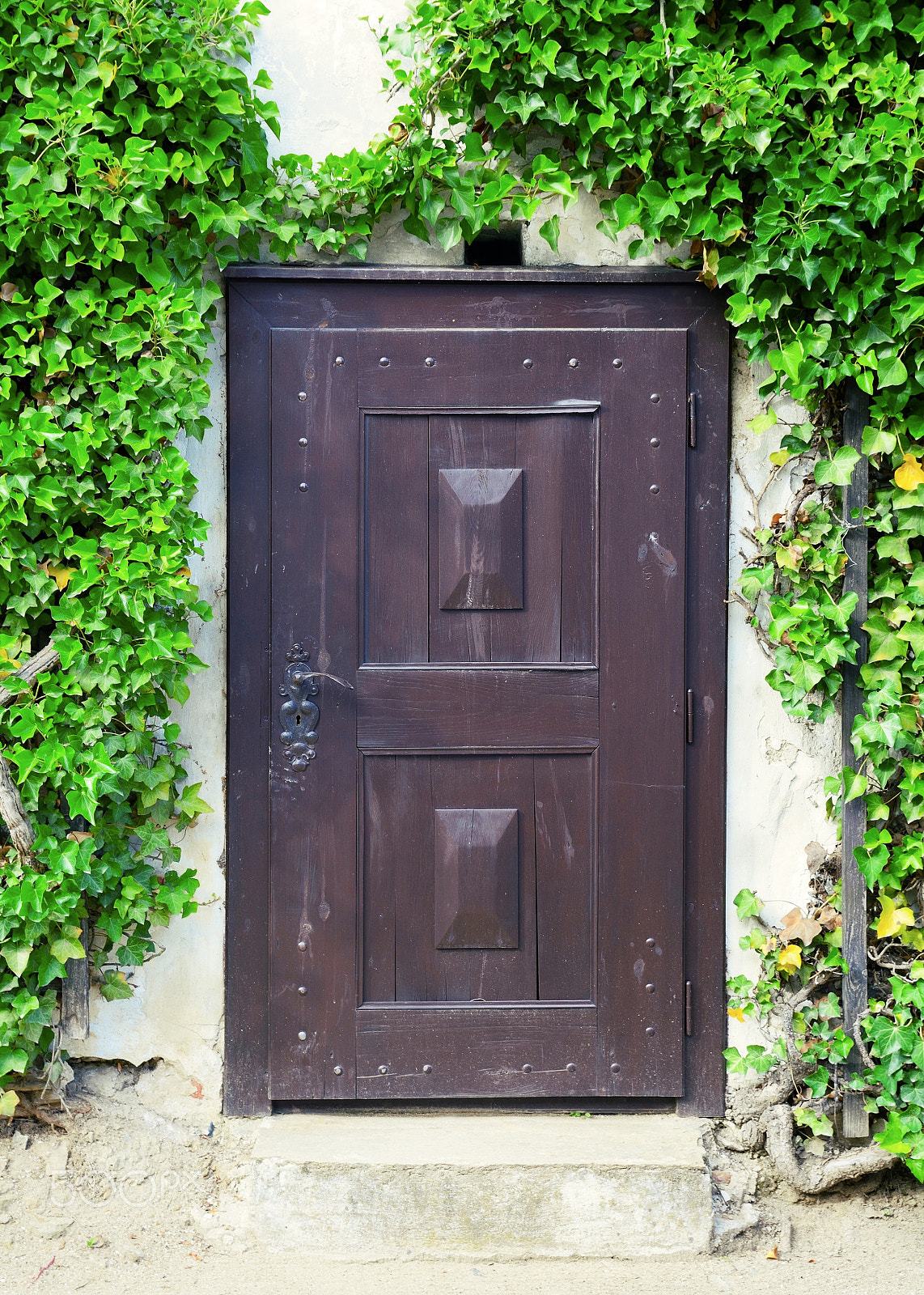 Sigma 17-50mm F2.8 EX DC OS HSM sample photo. Old door with ivy photography