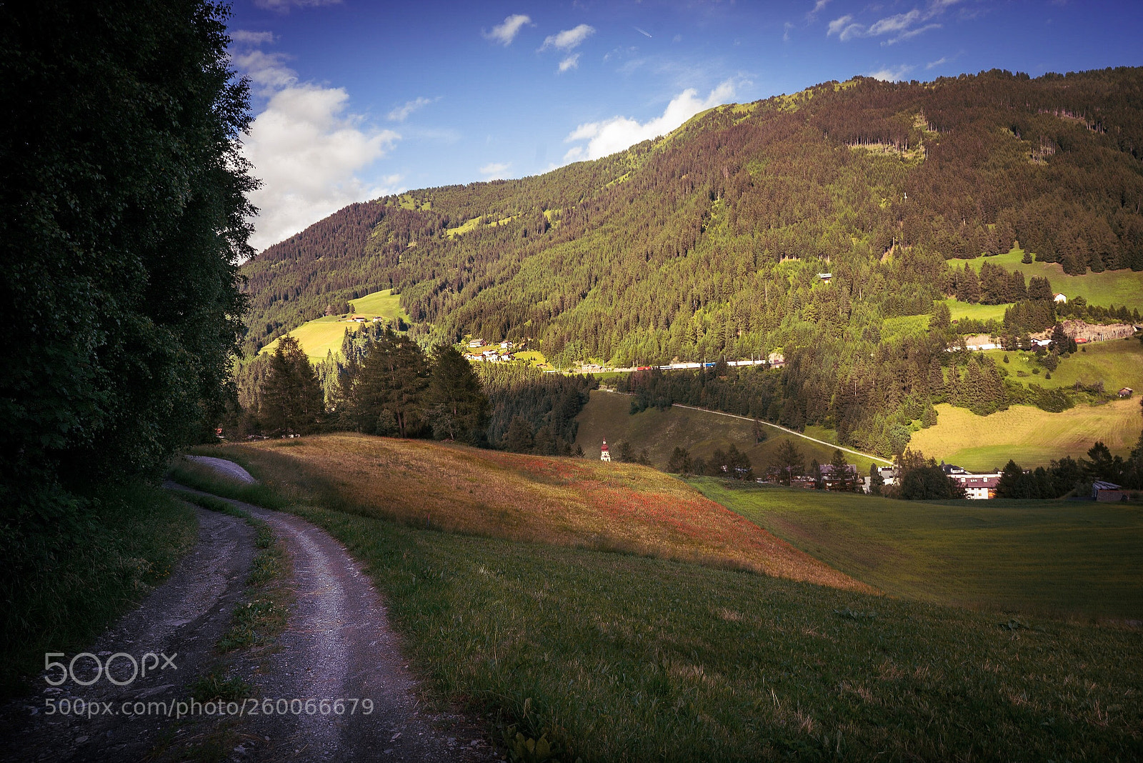 Sony a7R sample photo. Austria in the country  photography