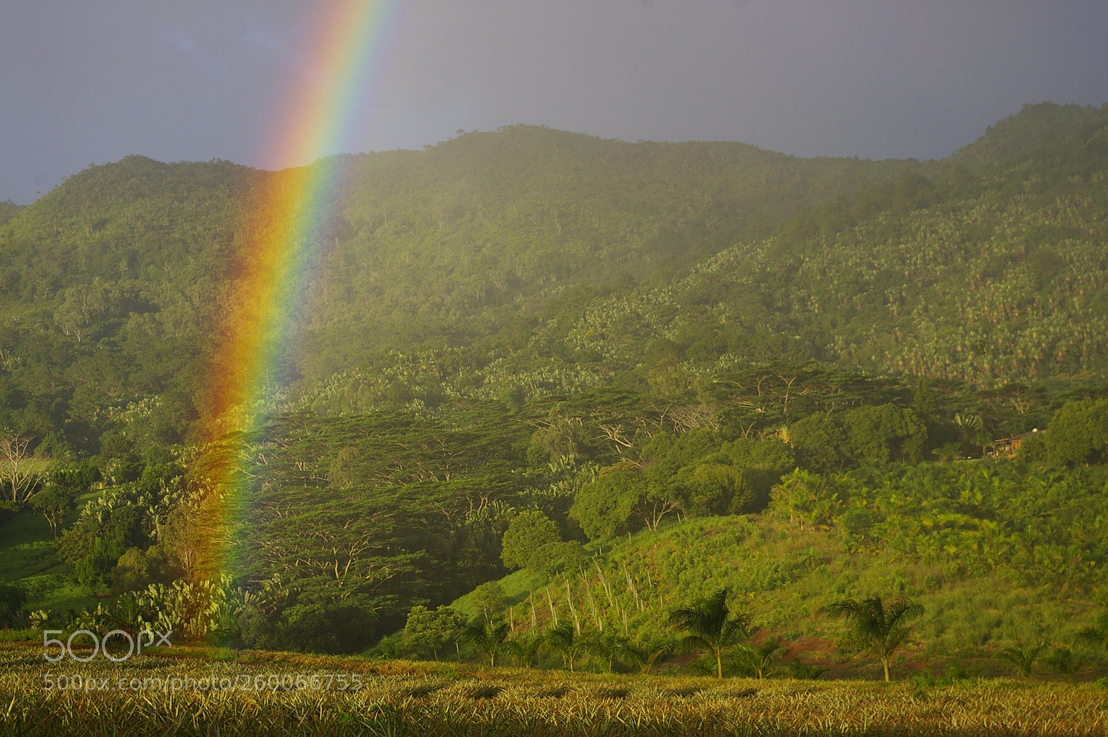 Pentax *ist DL2 sample photo. Chamarel rainbow photography