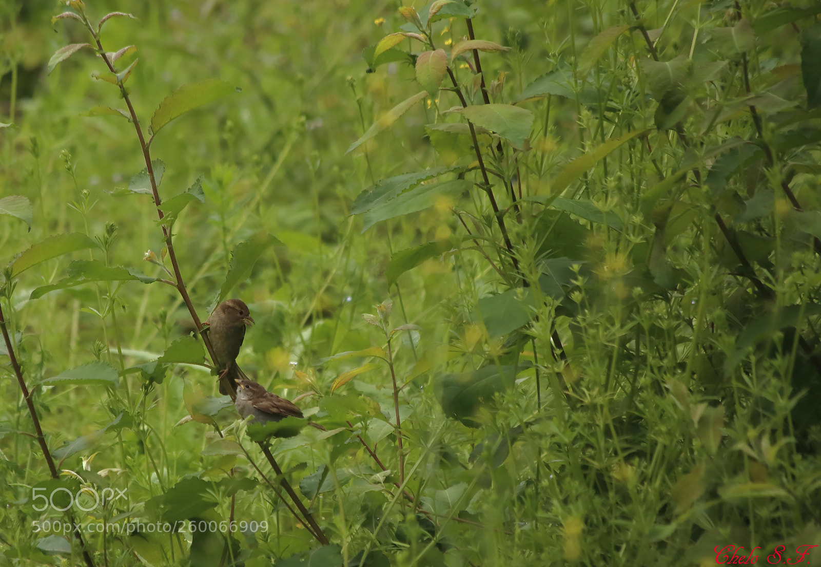 Canon EOS 6D sample photo. Untitled photography