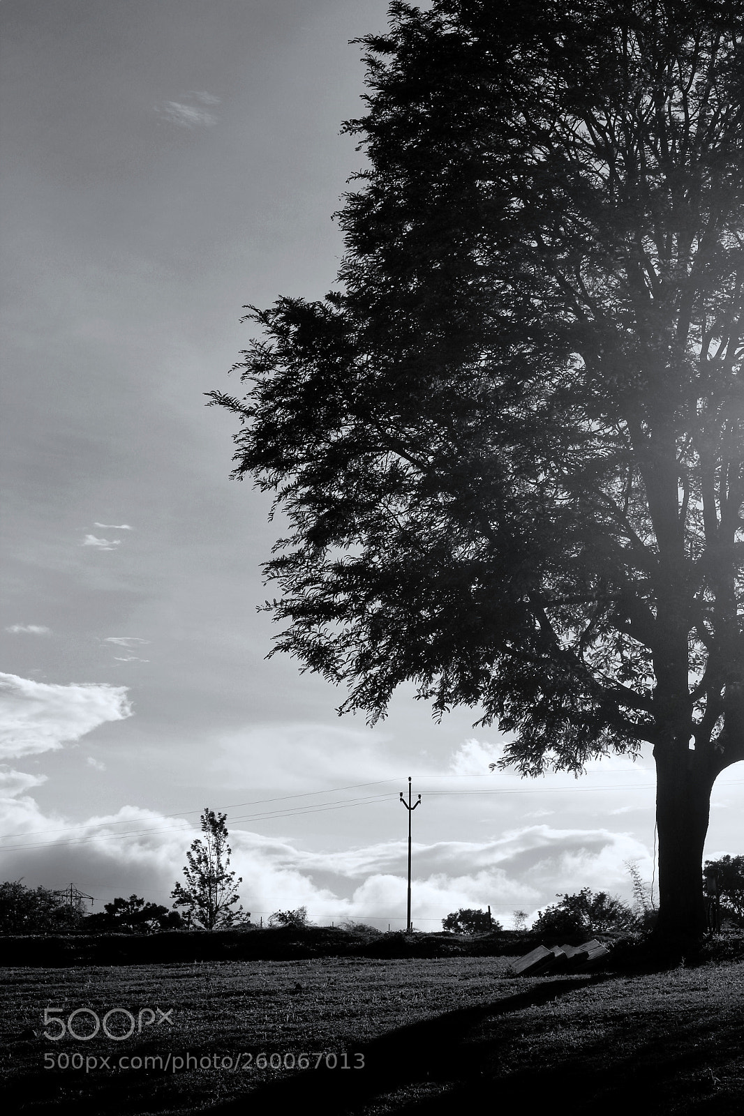 Canon EOS 600D (Rebel EOS T3i / EOS Kiss X5) sample photo. Darkside photography