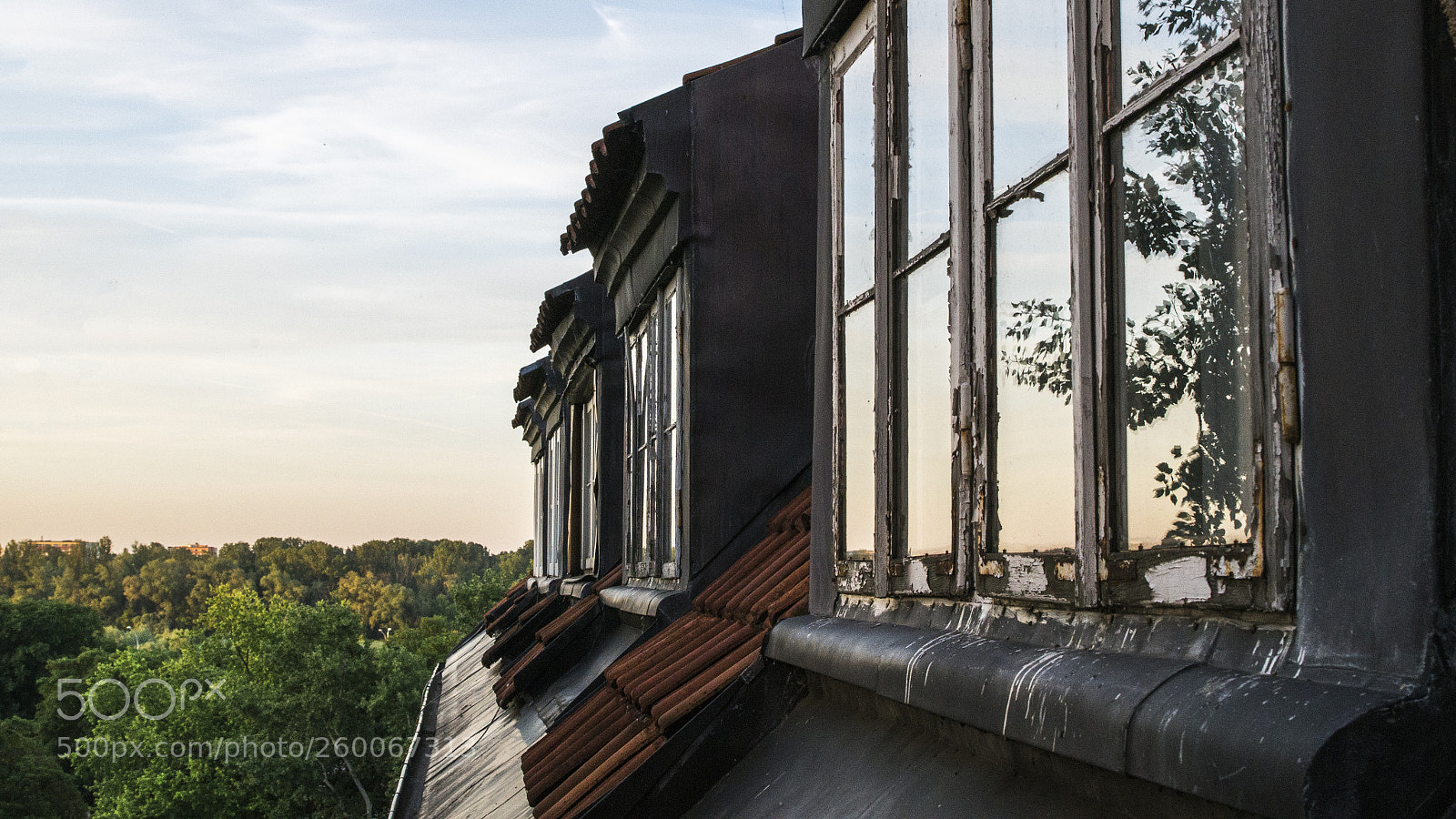 Pentax K-50 sample photo. W i n d photography