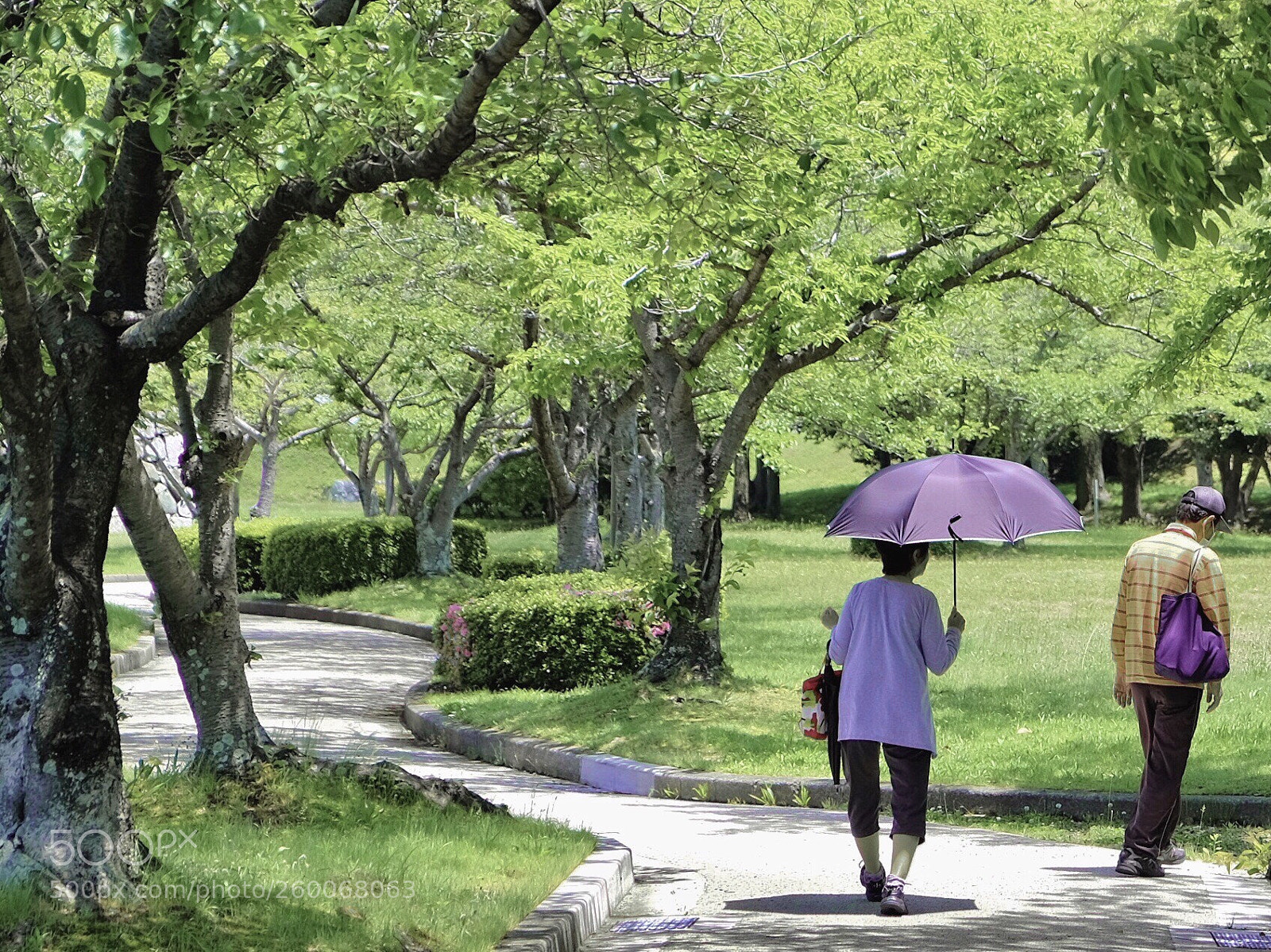 Fujifilm X-T1 sample photo. This way or that photography