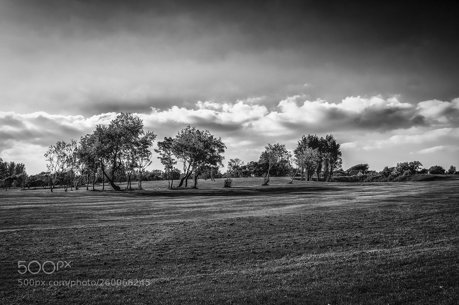 Nikon D7200 sample photo. Golf course near stanley photography
