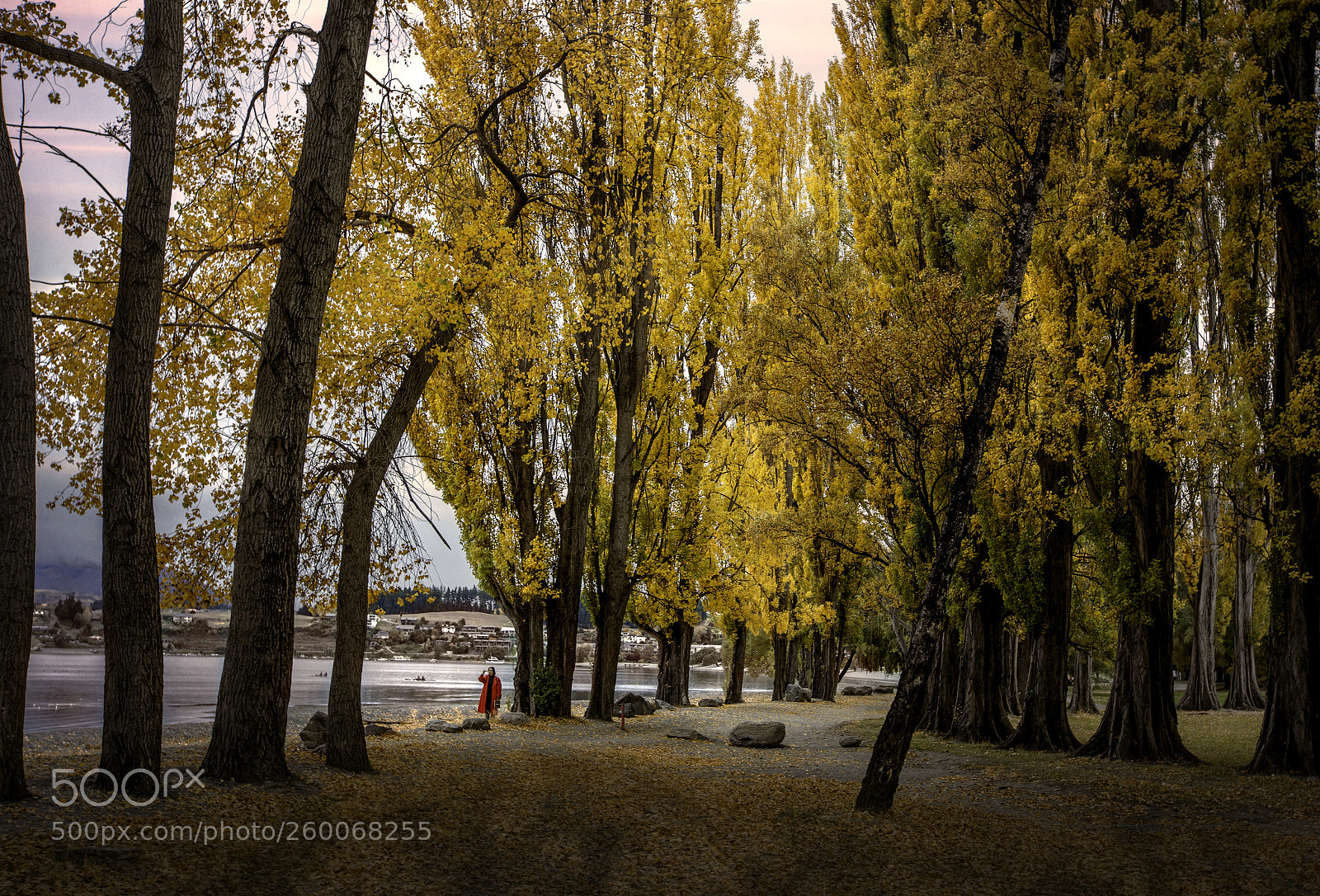 Canon EOS 5D Mark II sample photo. Under the golden leaves photography