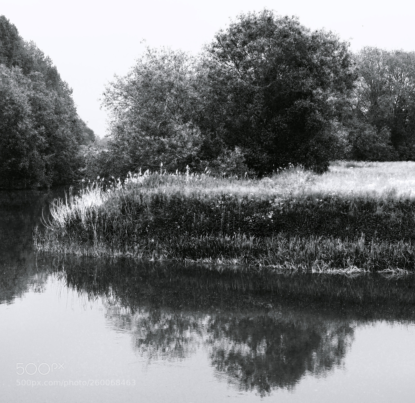Olympus OM-D E-M5 II sample photo. Winding river photography