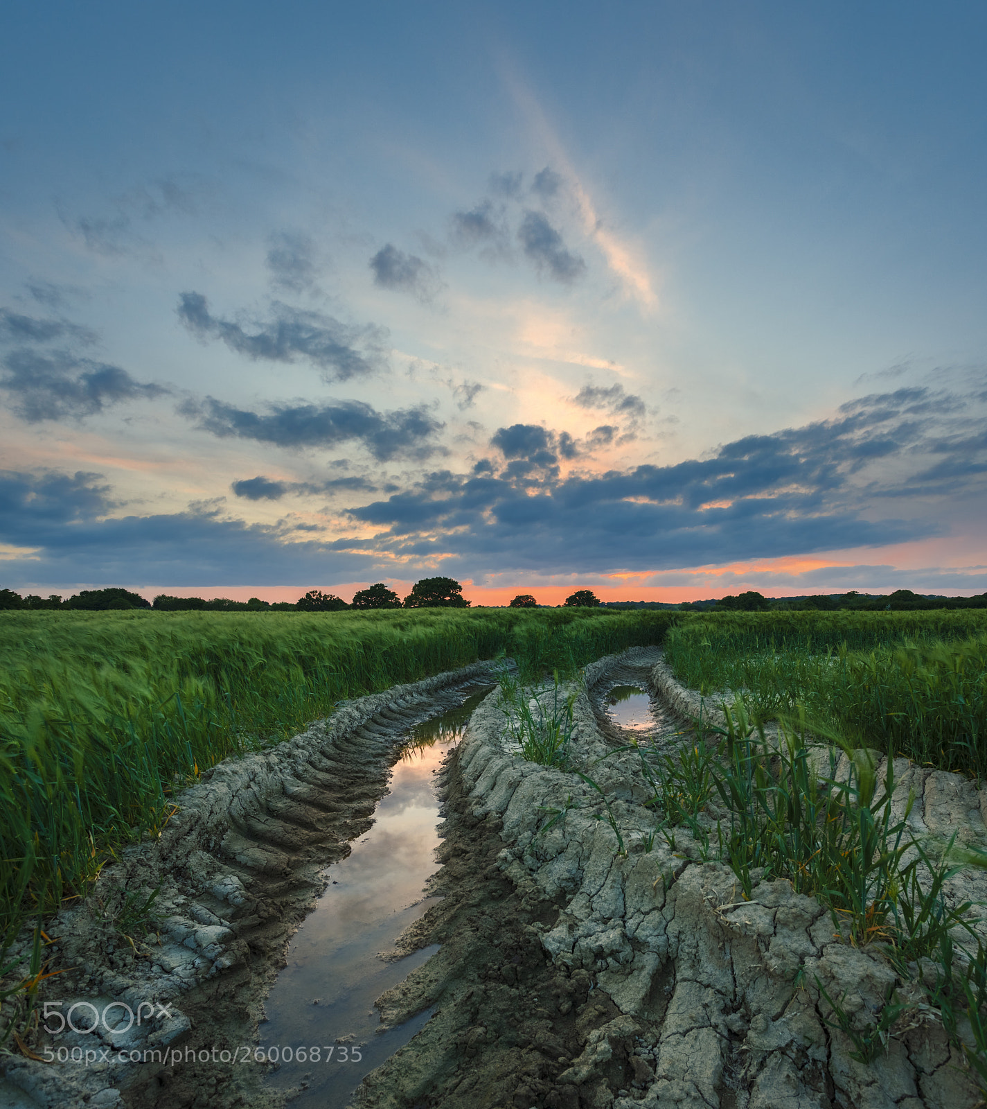 Canon EOS 5D Mark II sample photo. Dragonland photography