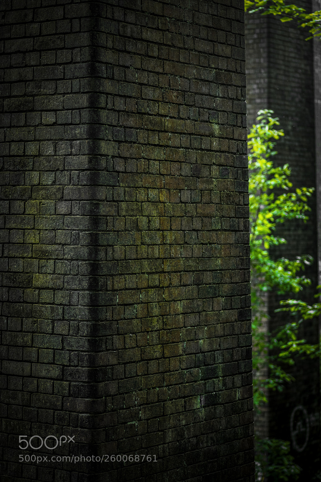 Nikon D850 sample photo. Pillars photography