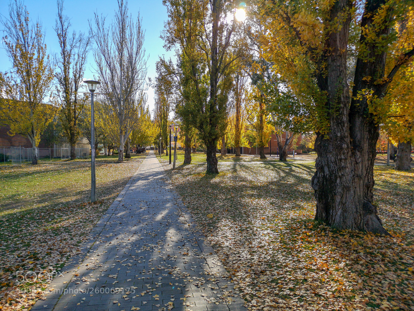 HUAWEI CLT-L29 sample photo. Around australian national university photography