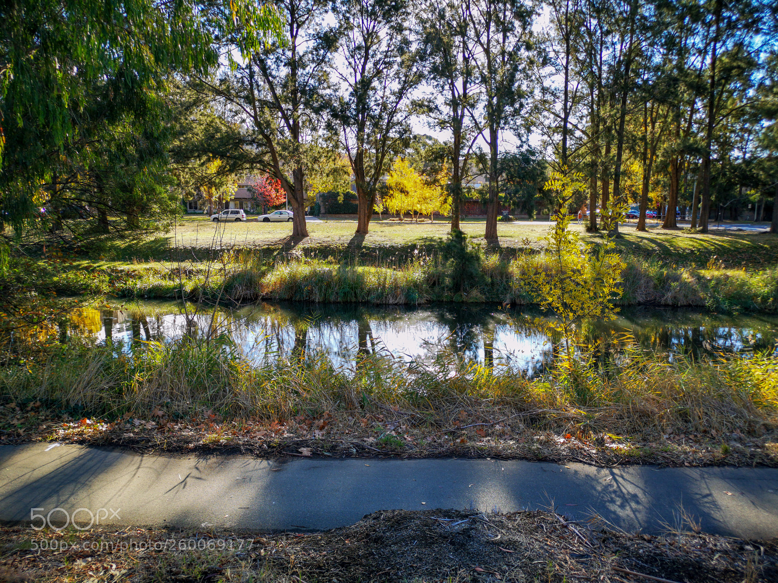 HUAWEI CLT-L29 sample photo. Around australian national university photography