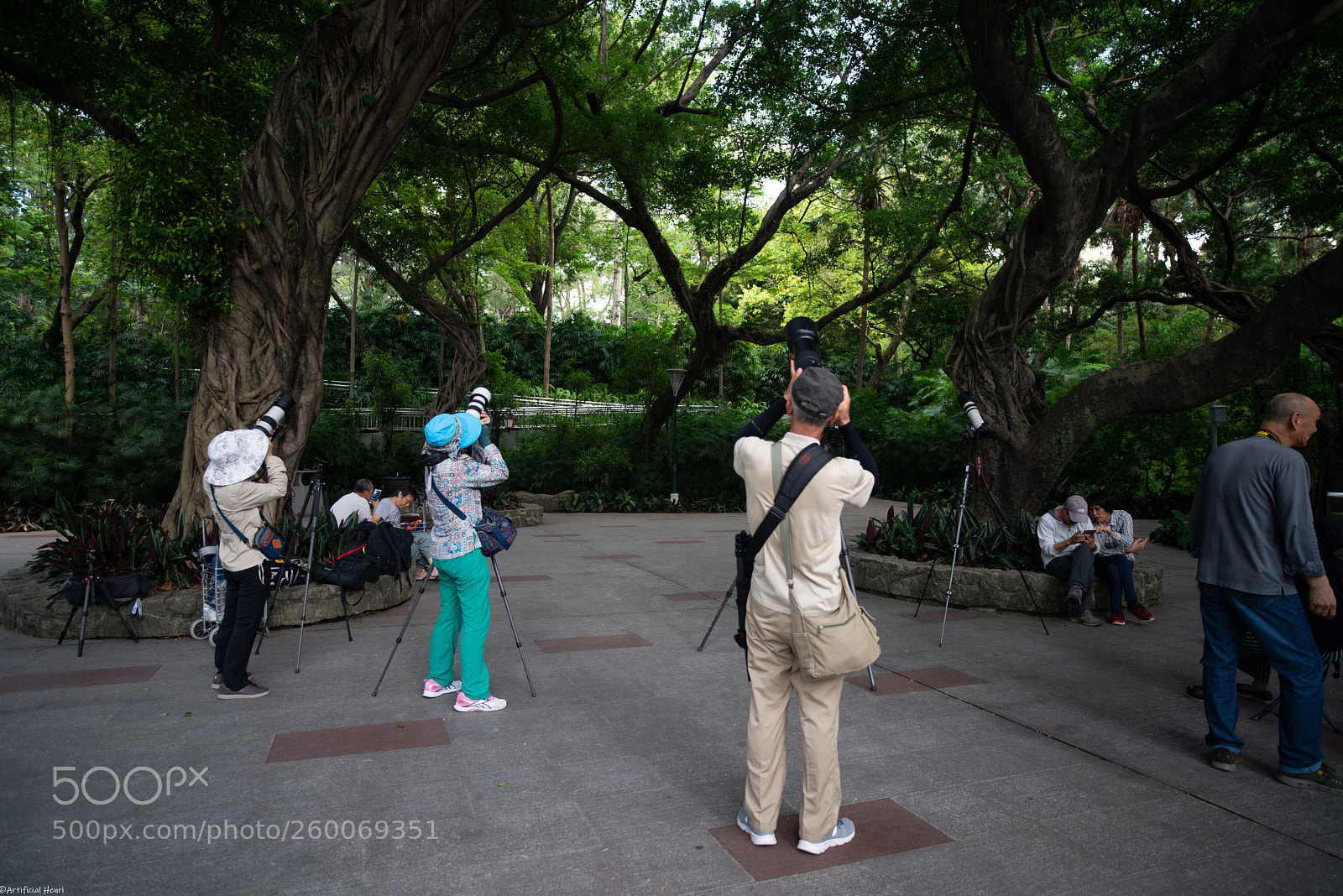 Nikon D800E sample photo. We want birds photography