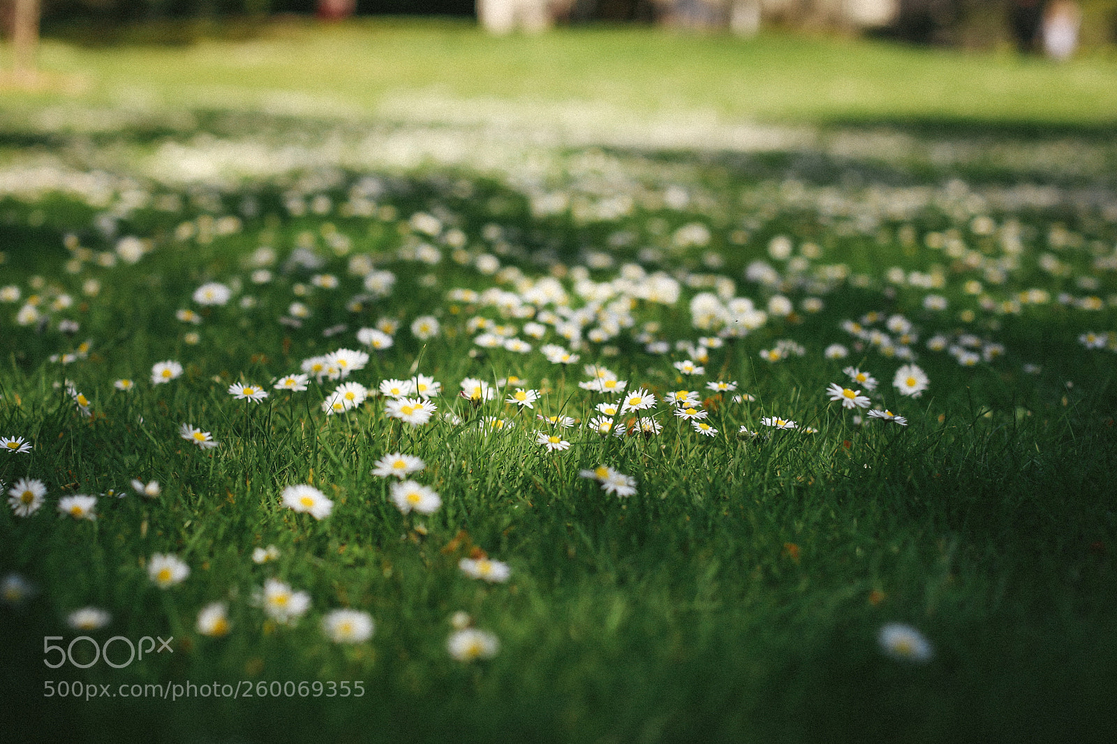 Canon EOS 6D sample photo. 13.jpg photography