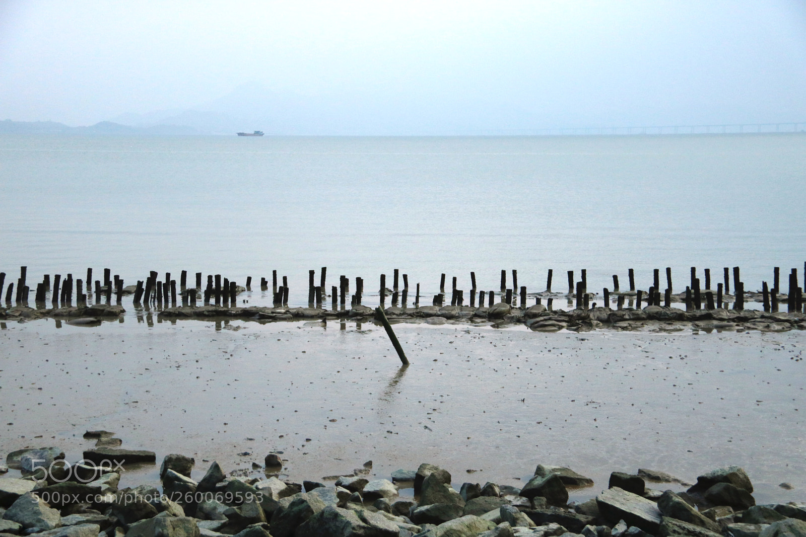 Canon EOS 760D (EOS Rebel T6s / EOS 8000D) sample photo. Img photography