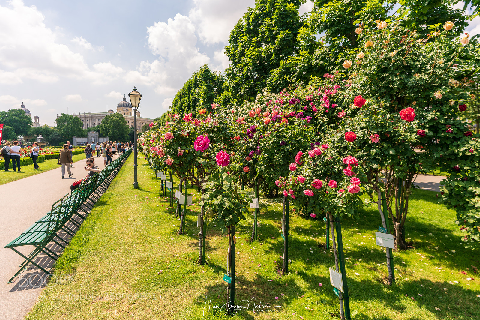 Sony a7R II sample photo. Exploring vienna volksgarten photography