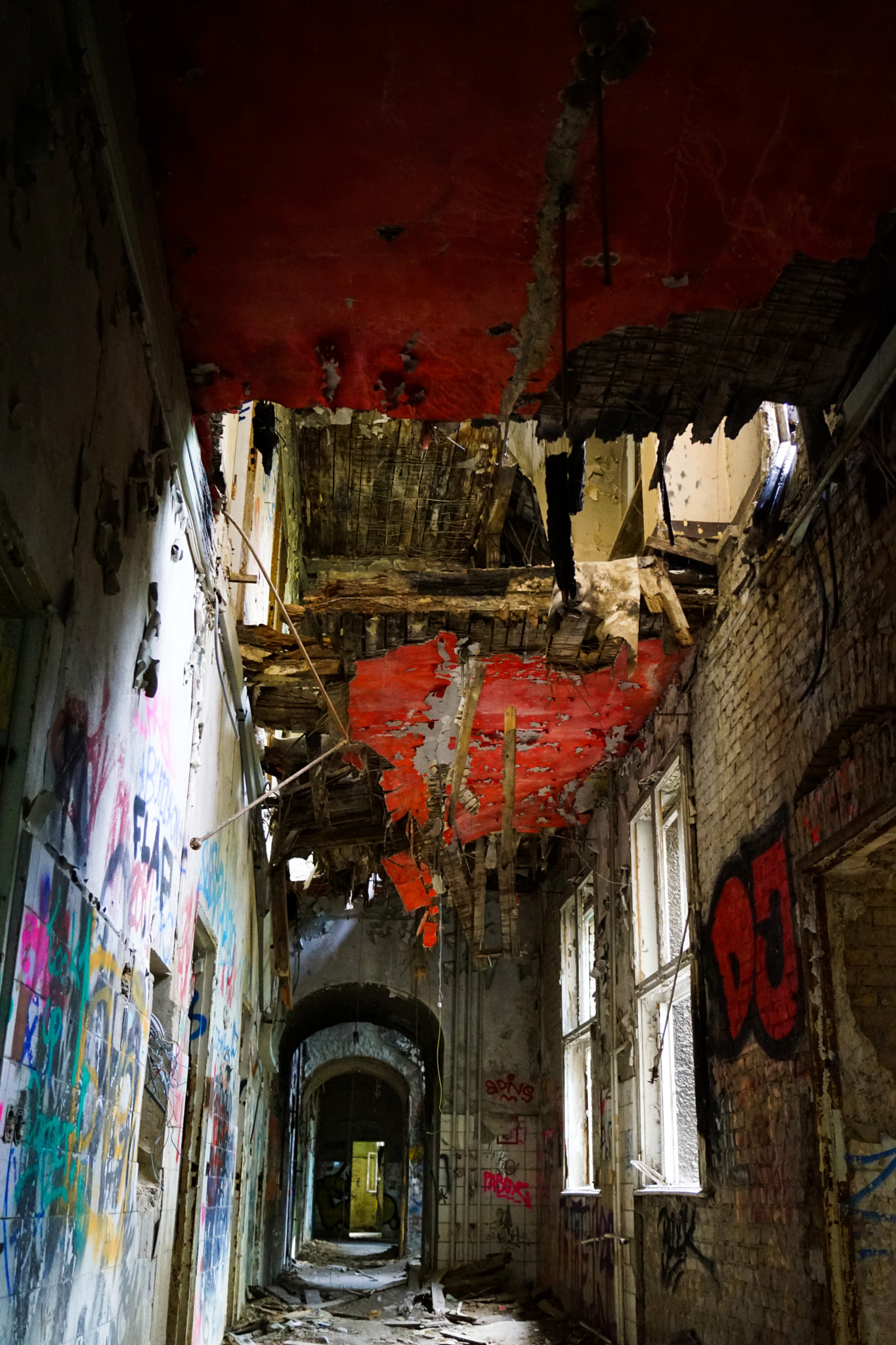 Sony SLT-A68 sample photo. Red x photography