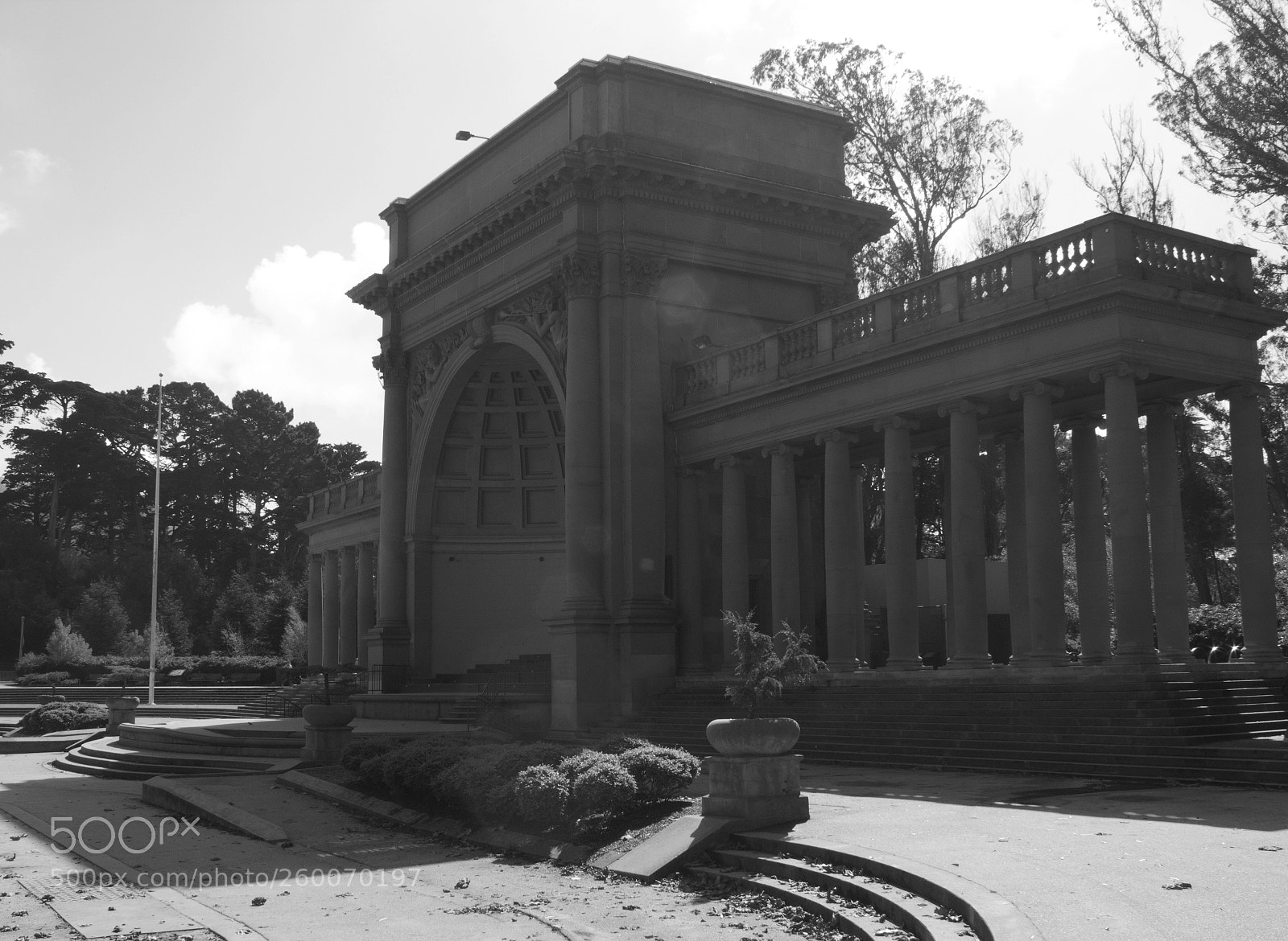 Canon EOS 600D (Rebel EOS T3i / EOS Kiss X5) sample photo. Golden gate park photography