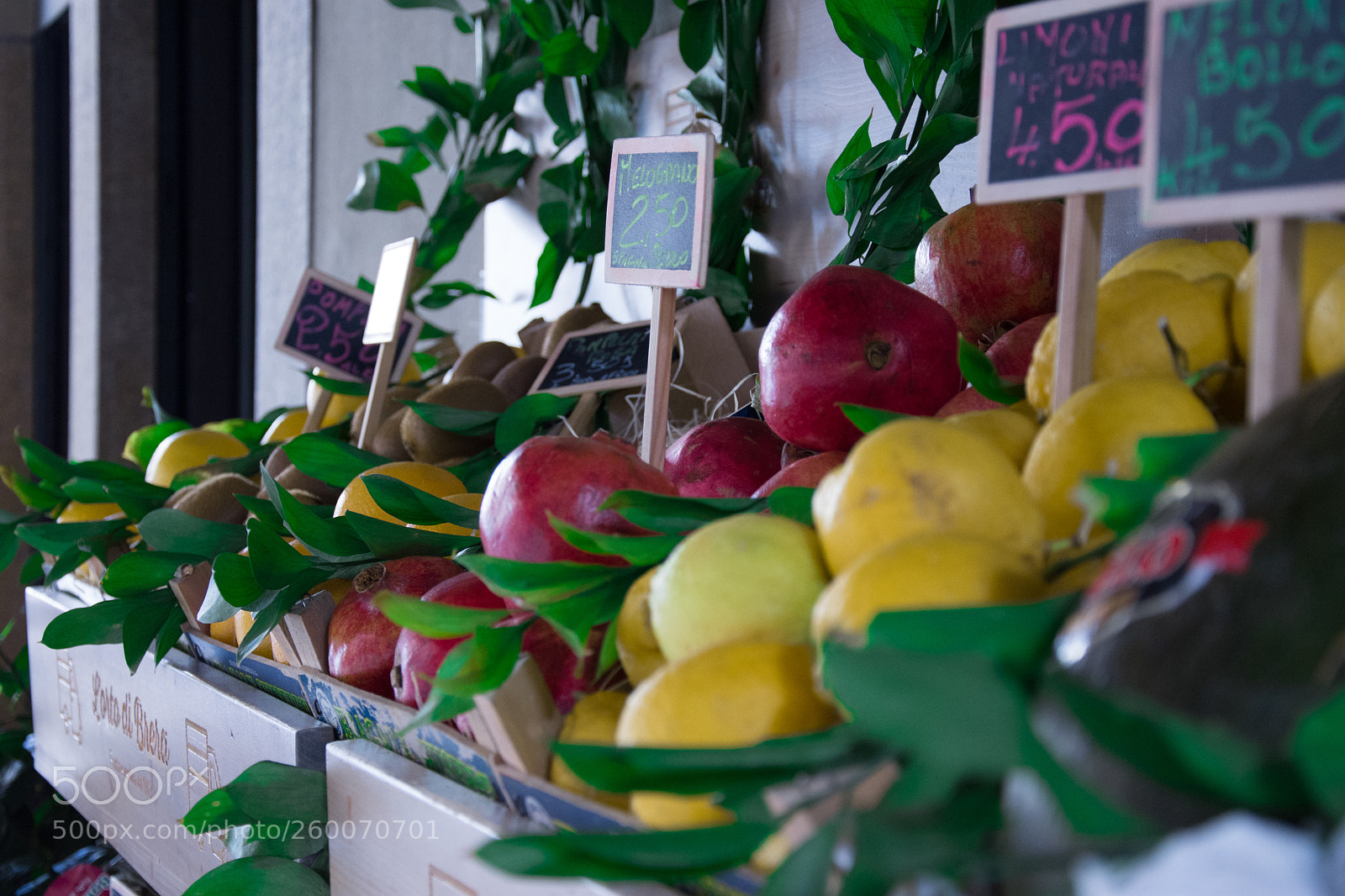 Nikon D7200 sample photo. Copy photography