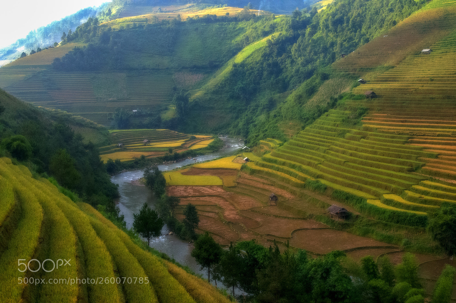 Nikon D300 sample photo. Mu cang chai photography