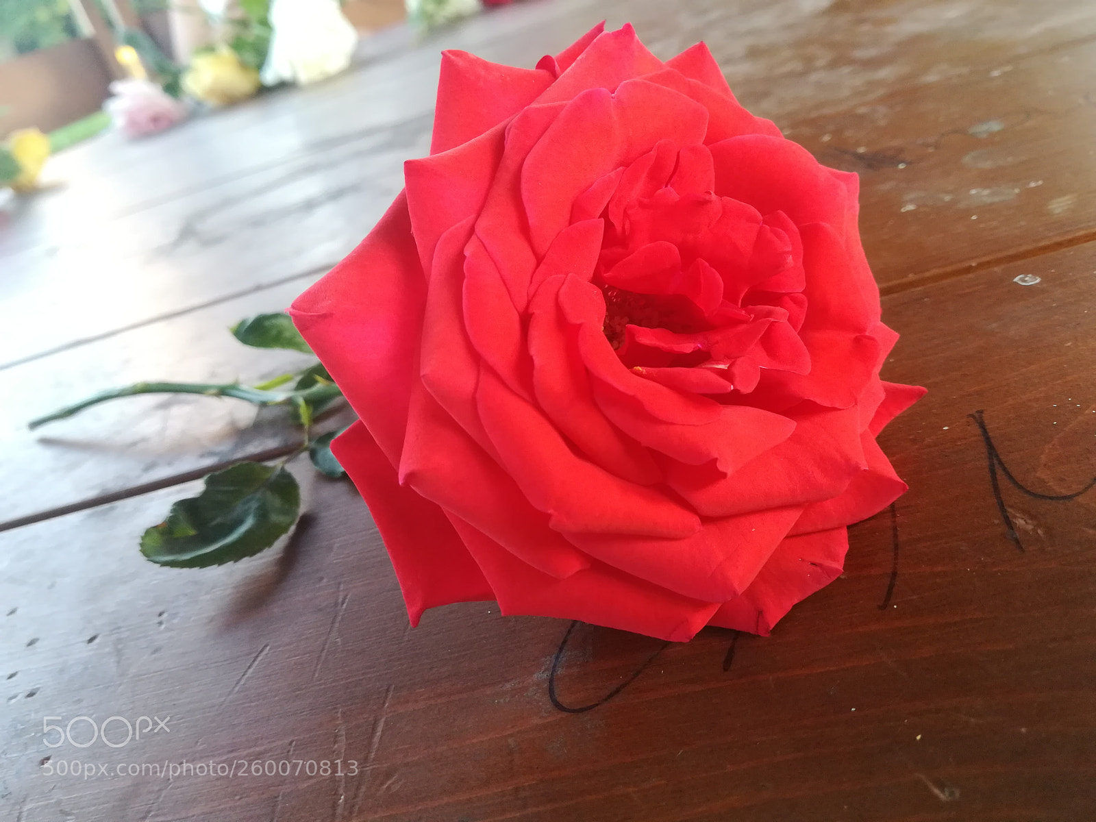 HUAWEI P10 lite sample photo. Untitled photography
