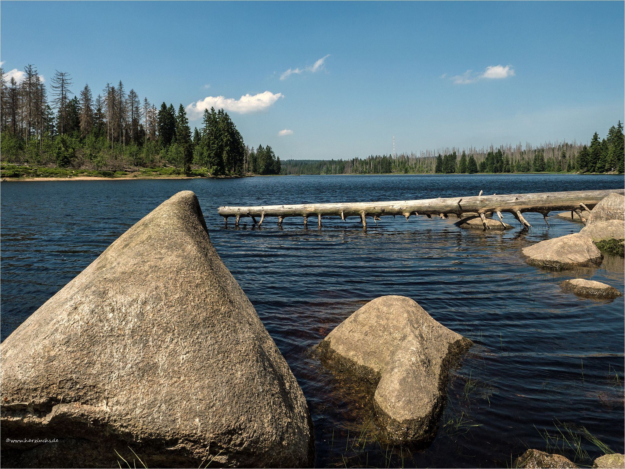 Panasonic Lumix DC-GX9 sample photo. Am oderteich photography