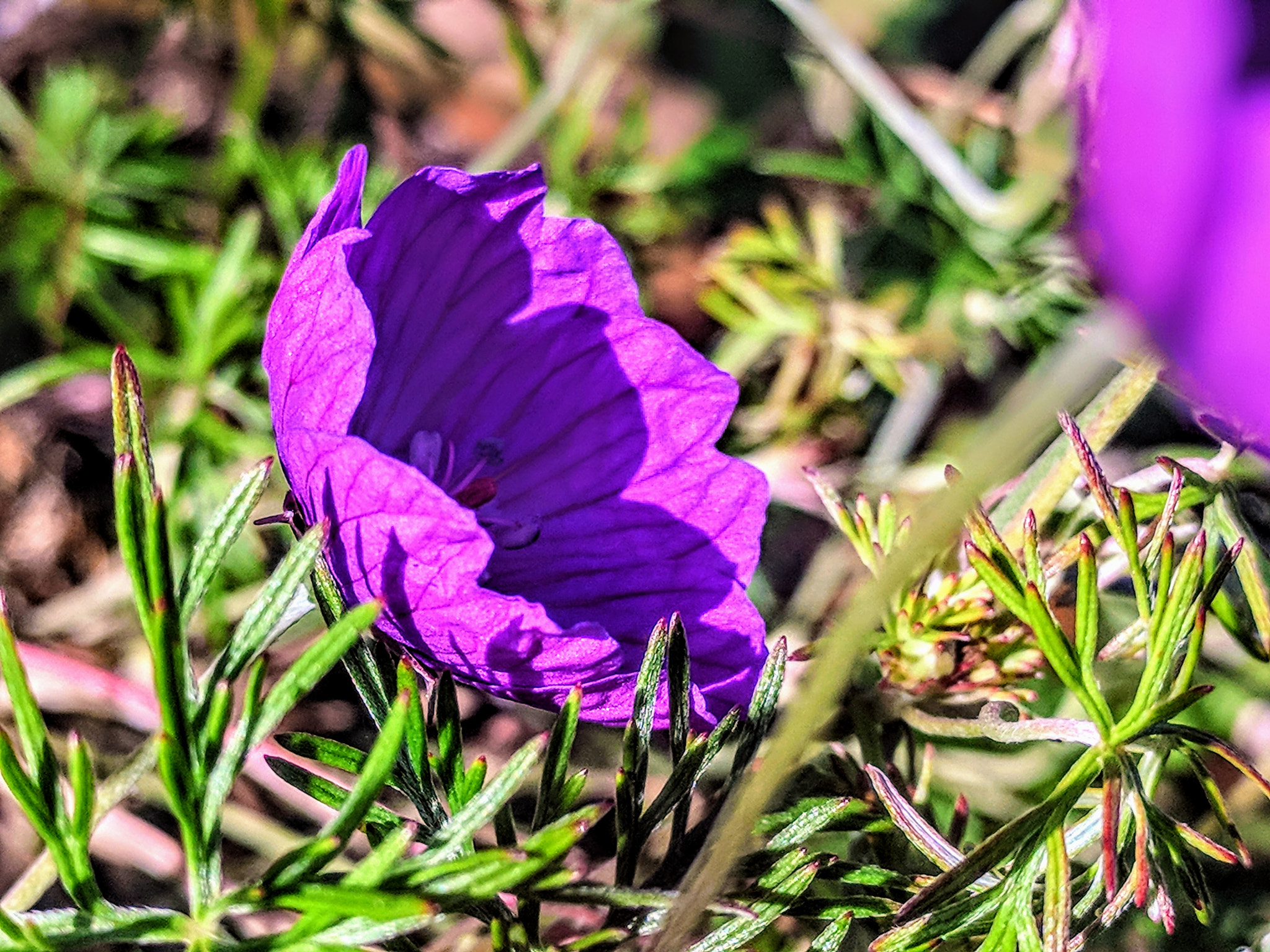 Google Nexus 6P sample photo