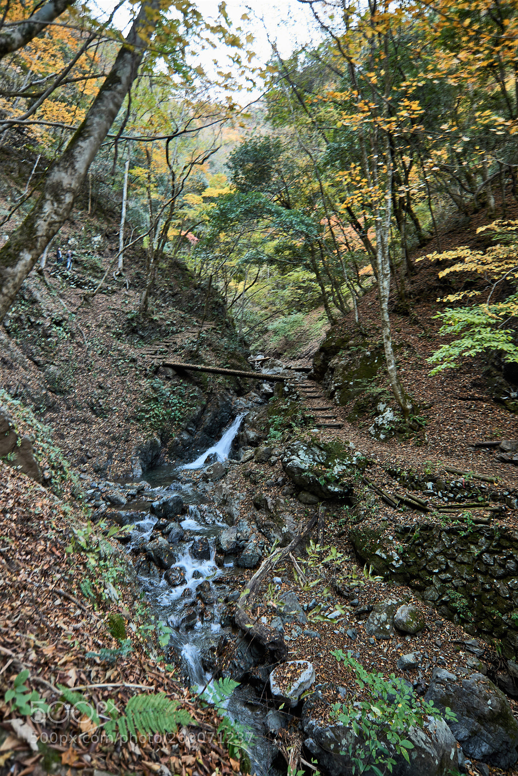 Nikon D800 sample photo. Trekking path(2) photography