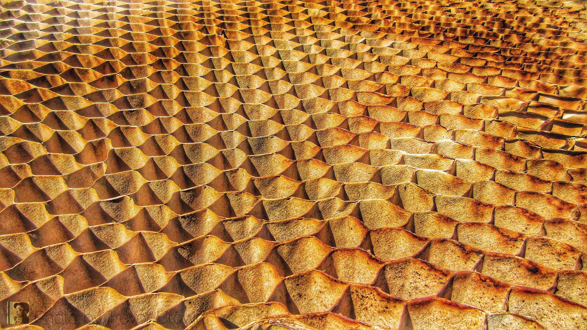 Canon PowerShot ELPH 350 HS (IXUS 275 HS / IXY 640) sample photo. Honeycomb photography