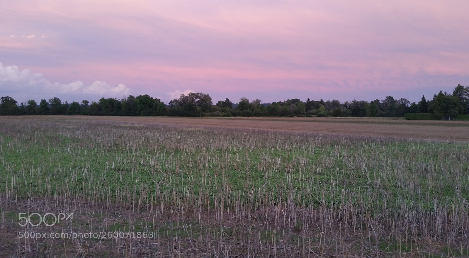 Samsung Galaxy S5 sample photo. Red fired landscape photography