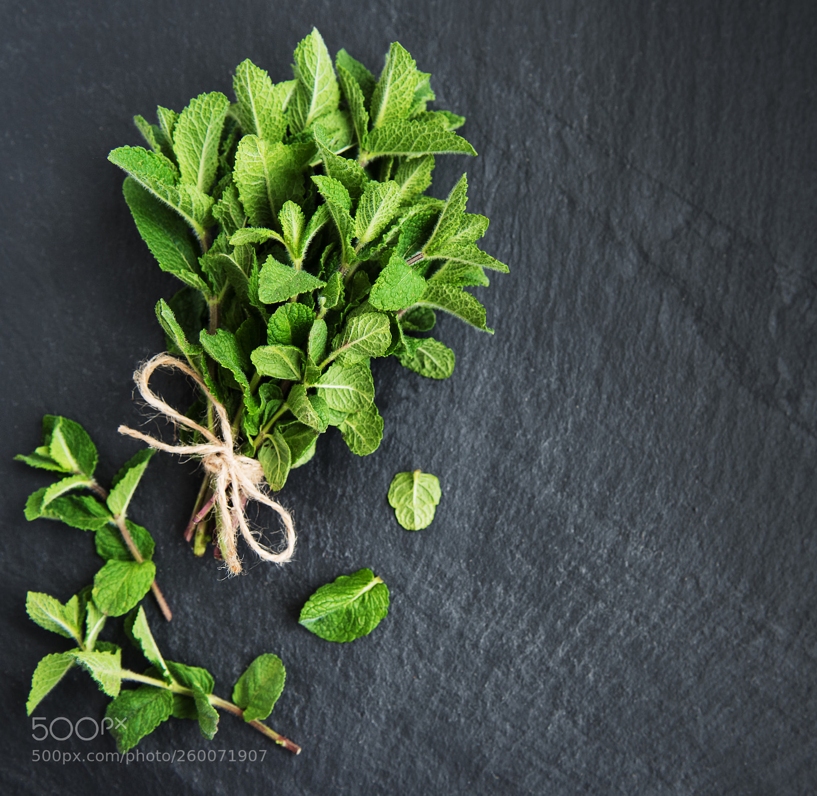 Nikon D750 sample photo. Green mint on a photography