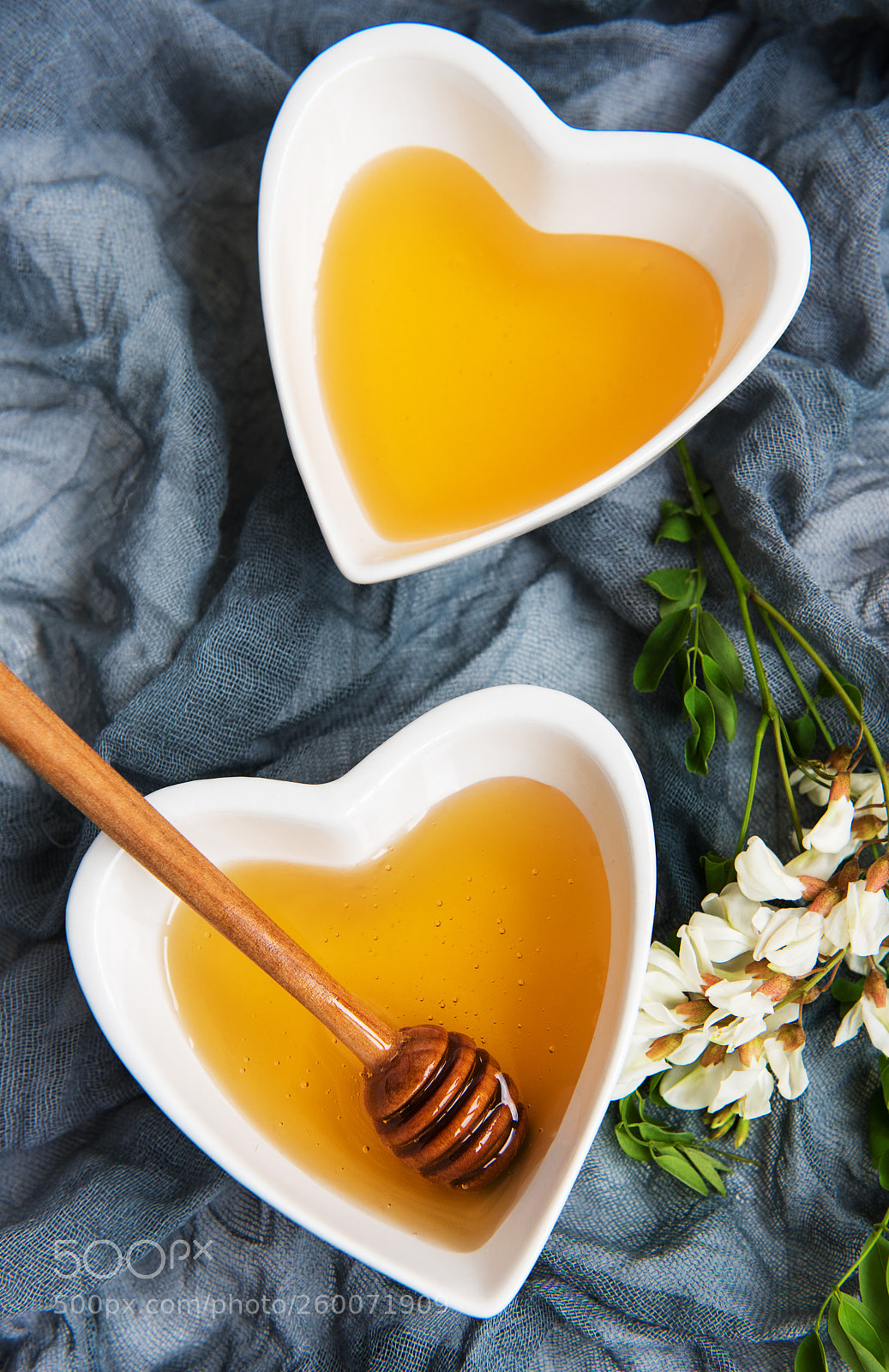 Nikon D750 sample photo. Honey with acacia blossoms photography