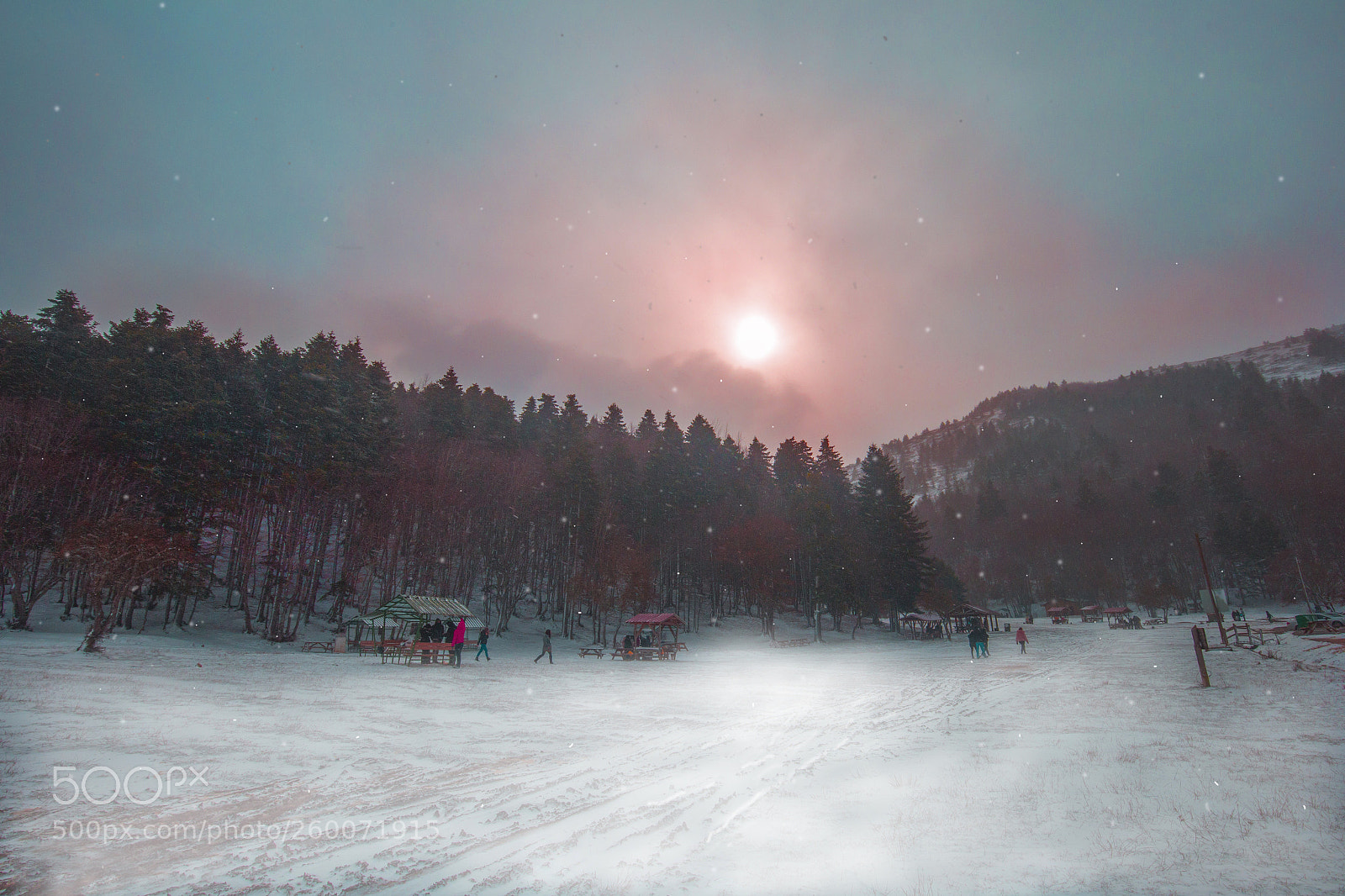 Canon EOS 6D sample photo. Winter photography
