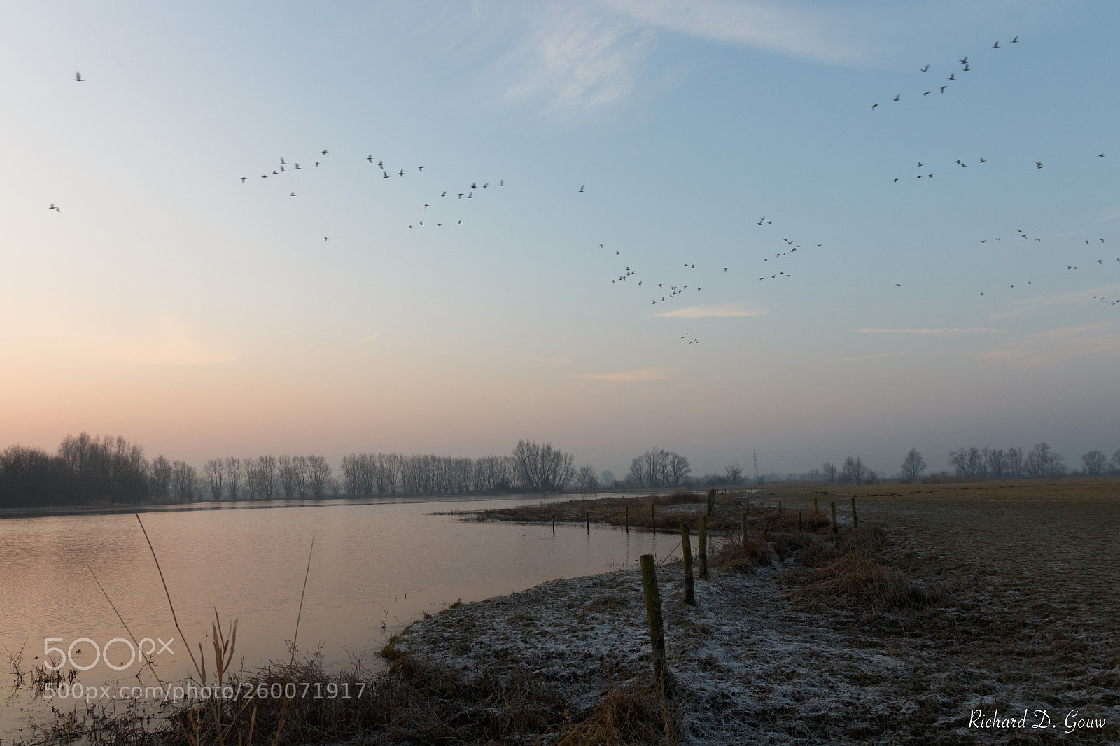 Canon EOS 700D (EOS Rebel T5i / EOS Kiss X7i) sample photo. Goodmorning geese photography