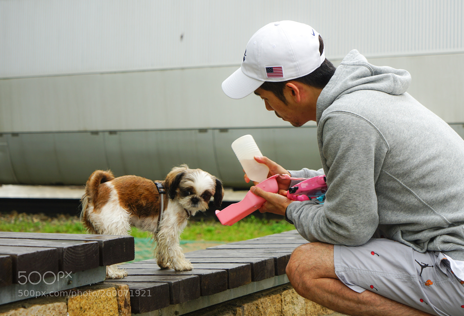 Sony a7 II sample photo. Dsc photography