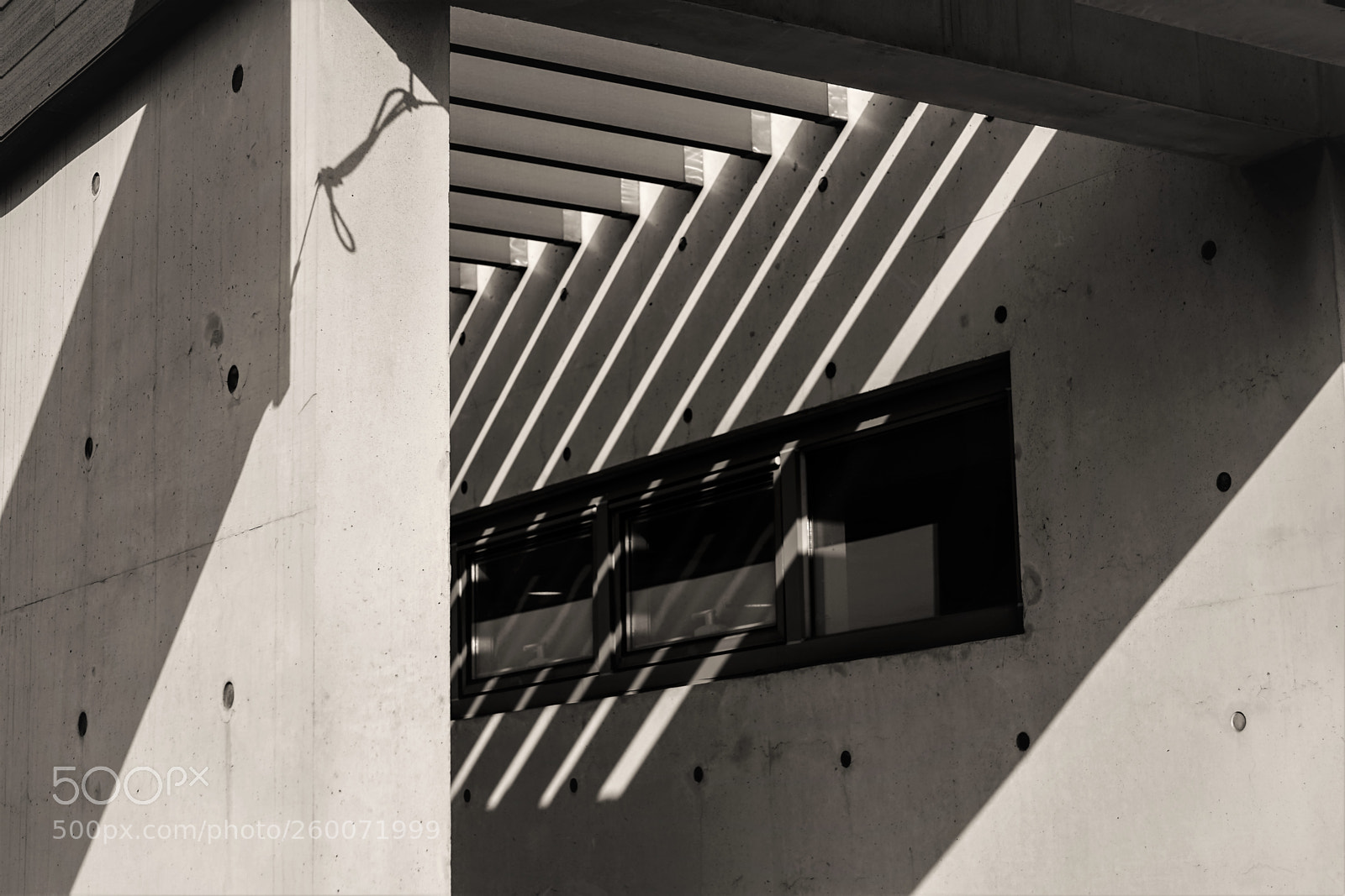 Sony a7 II sample photo. Dsc photography