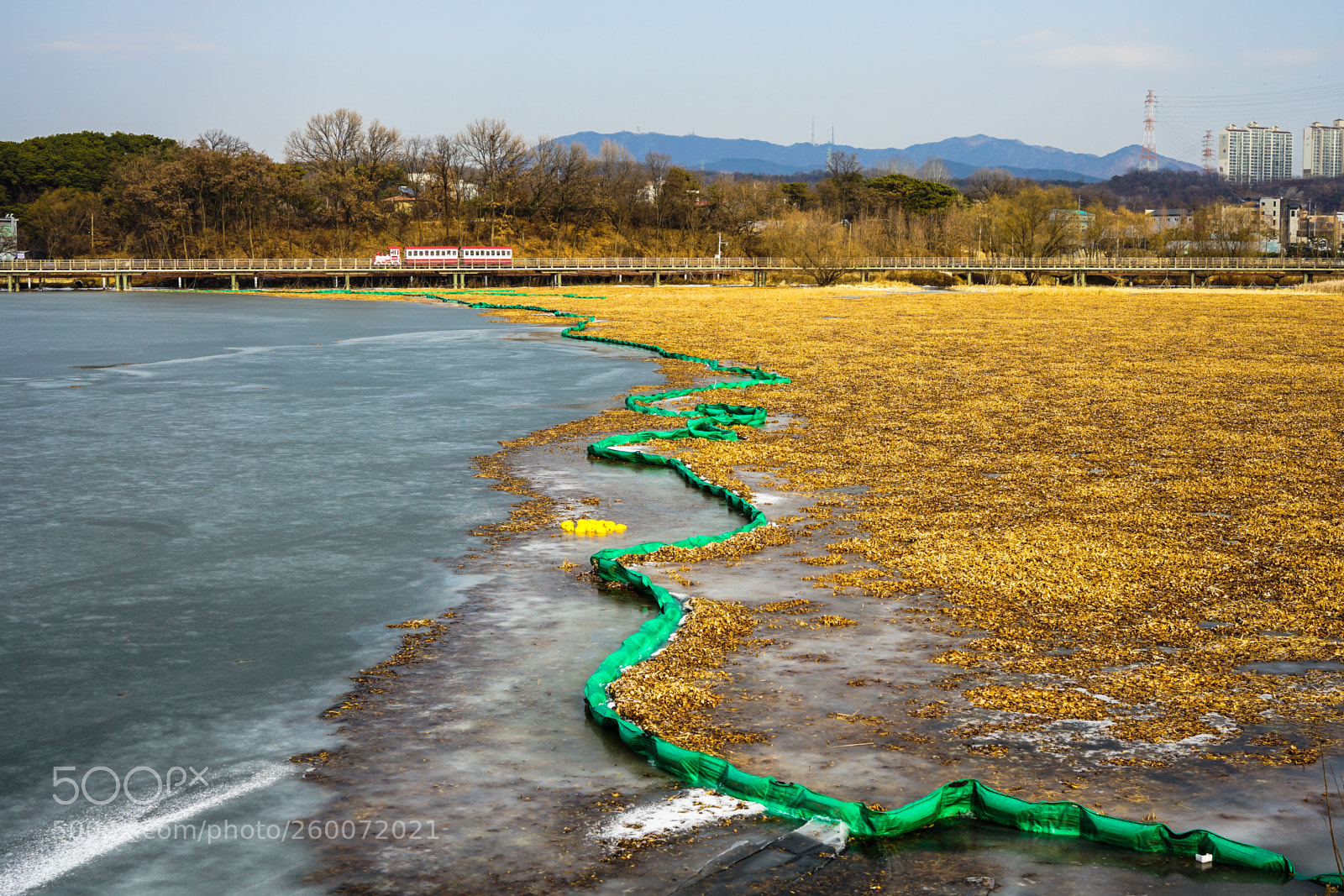 Sony a7 II sample photo. Dsc photography