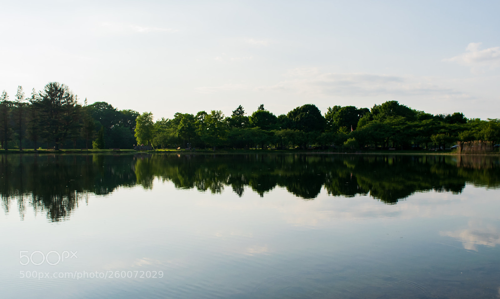Nikon D5300 sample photo. Untitled photography