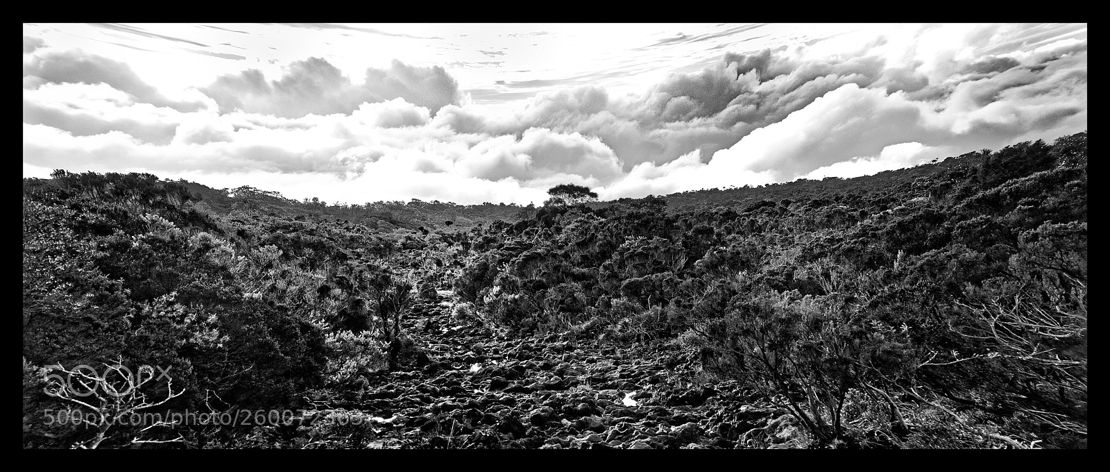 Nikon D7000 sample photo. Altitude moors near the photography
