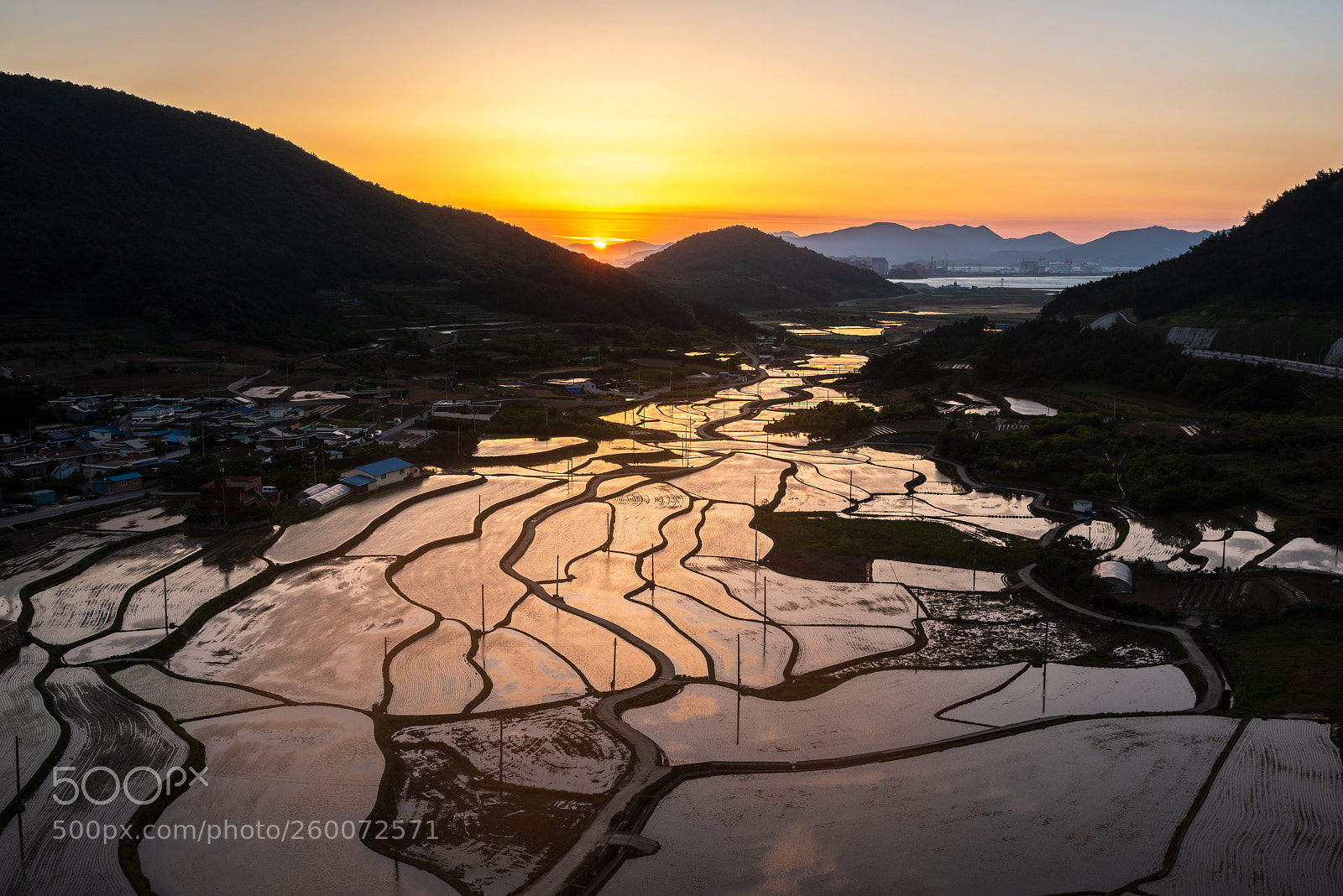 Nikon D810 sample photo. Myodo yeosu photography