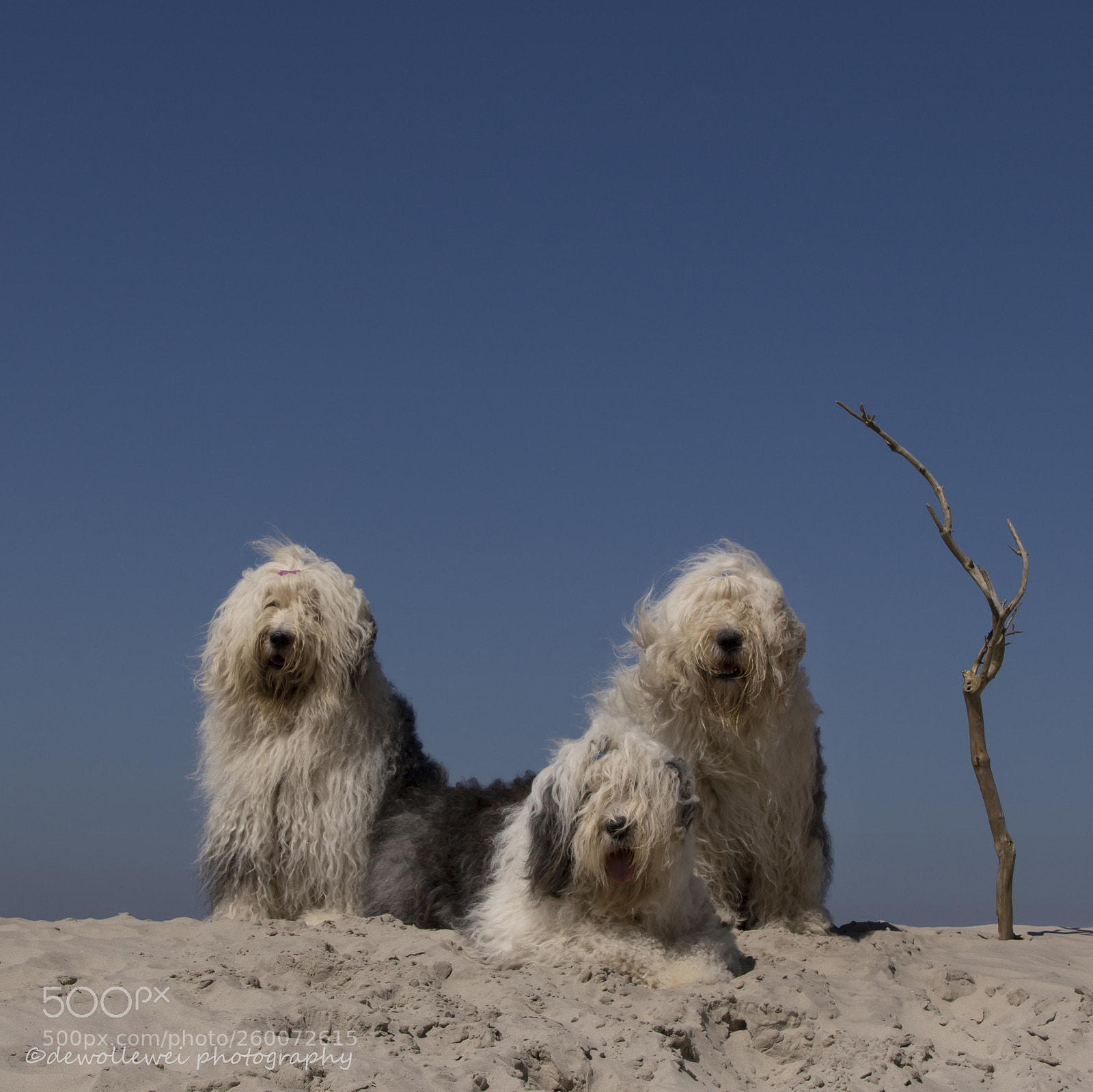 Canon EOS 7D Mark II sample photo. Beach portrait photography